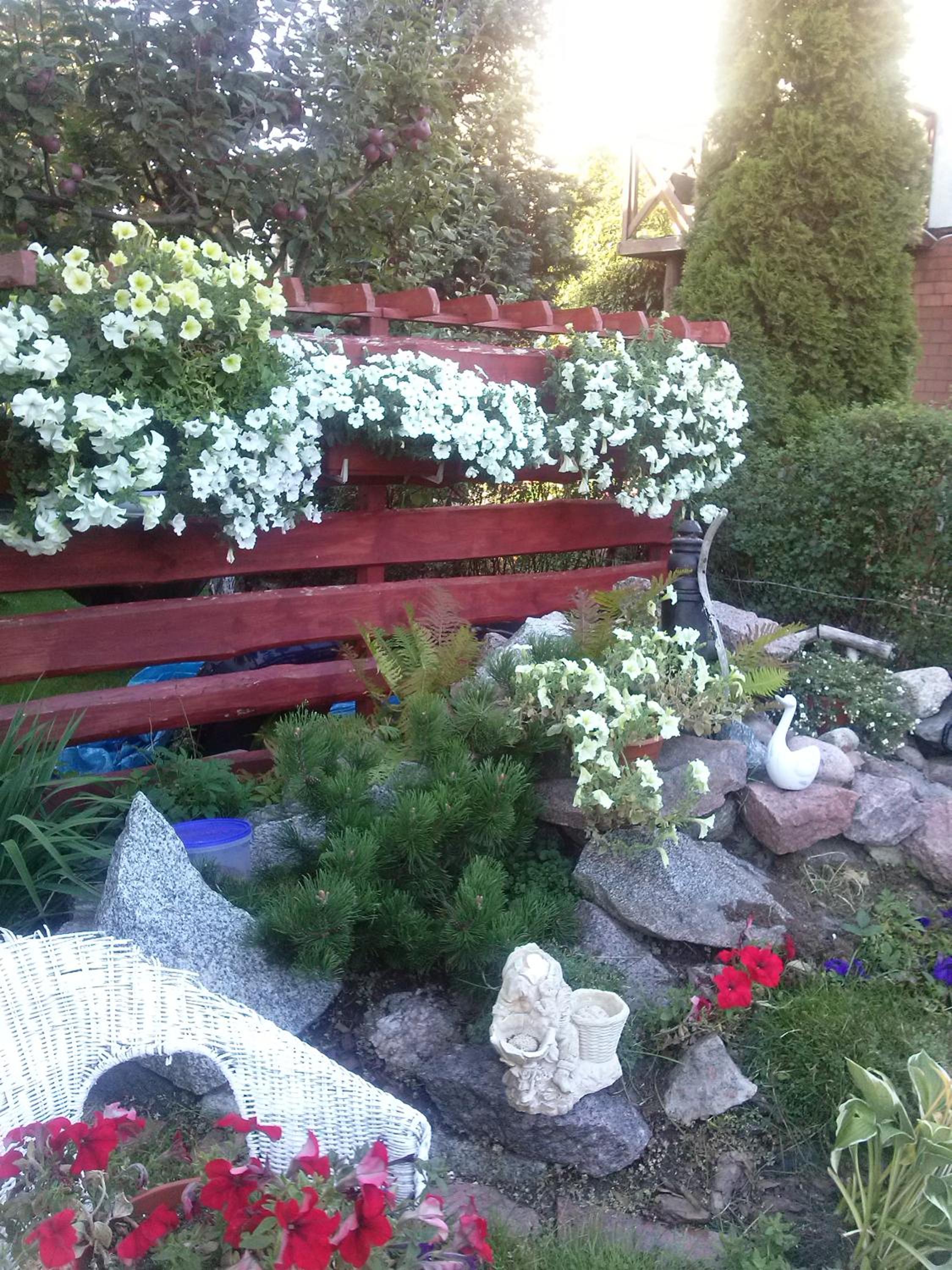 Photo 64