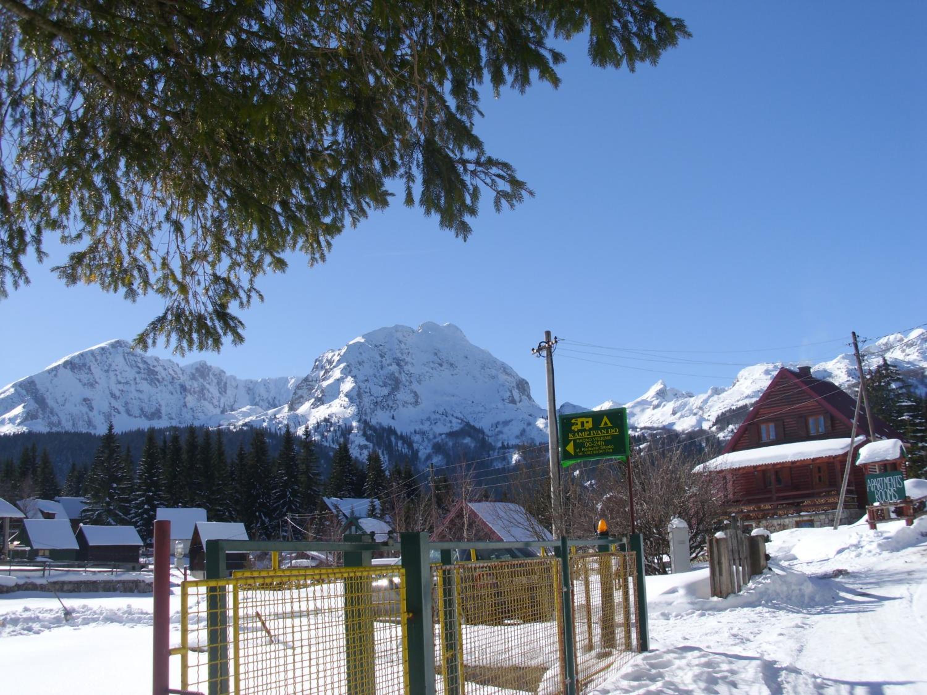 Photo 11