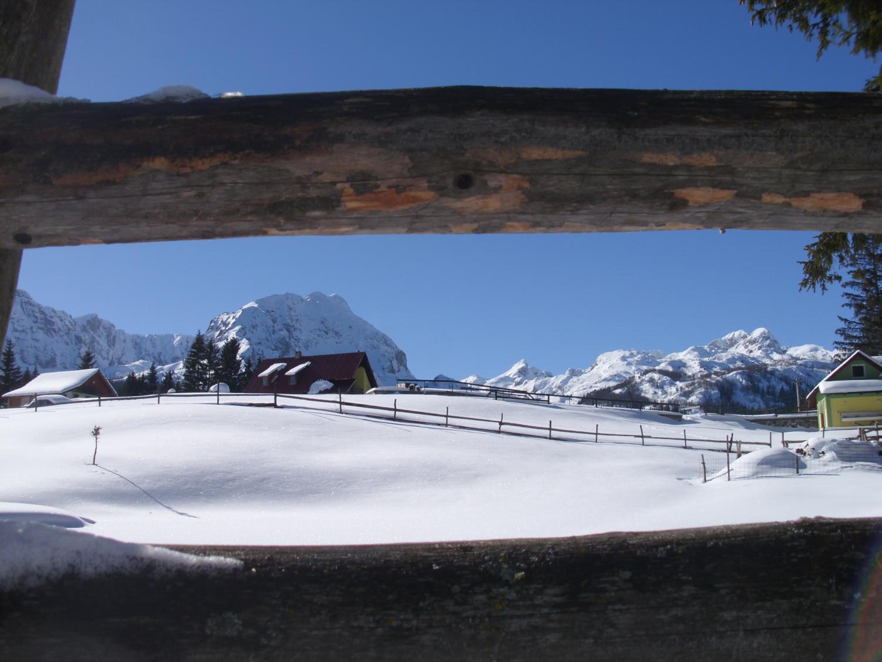 Photo 10