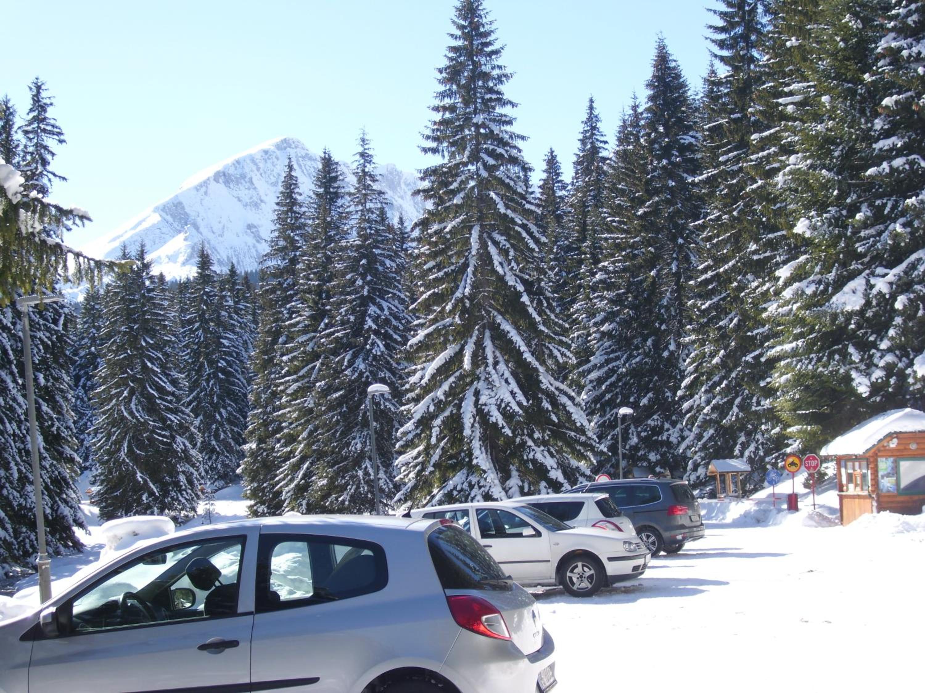 Photo 43
