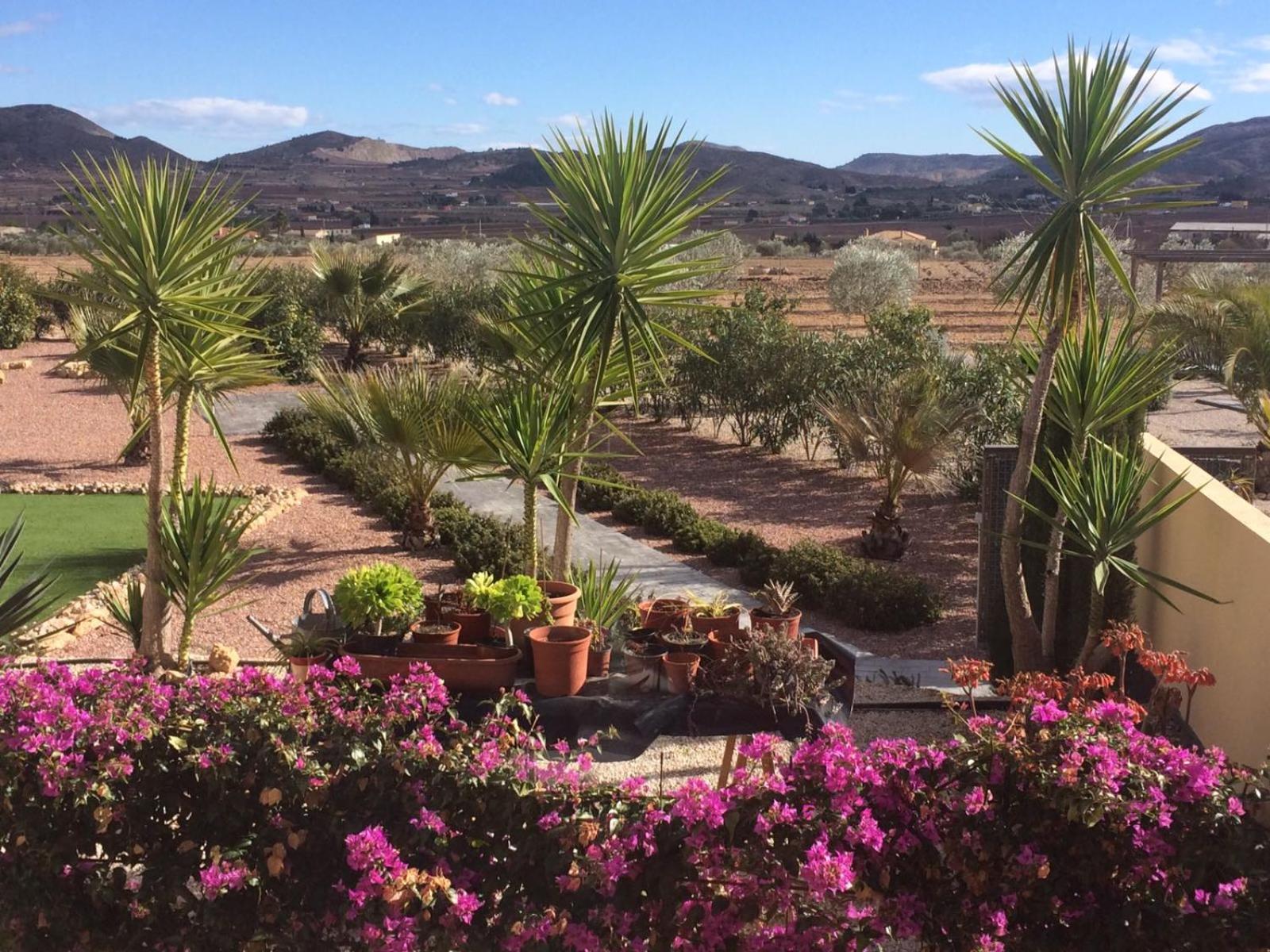 Finca Vista Valle photo 2