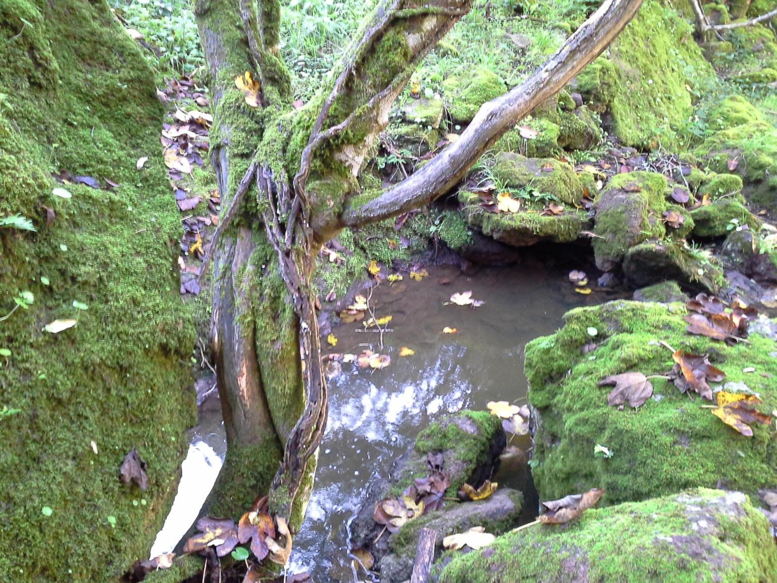 Photo 33