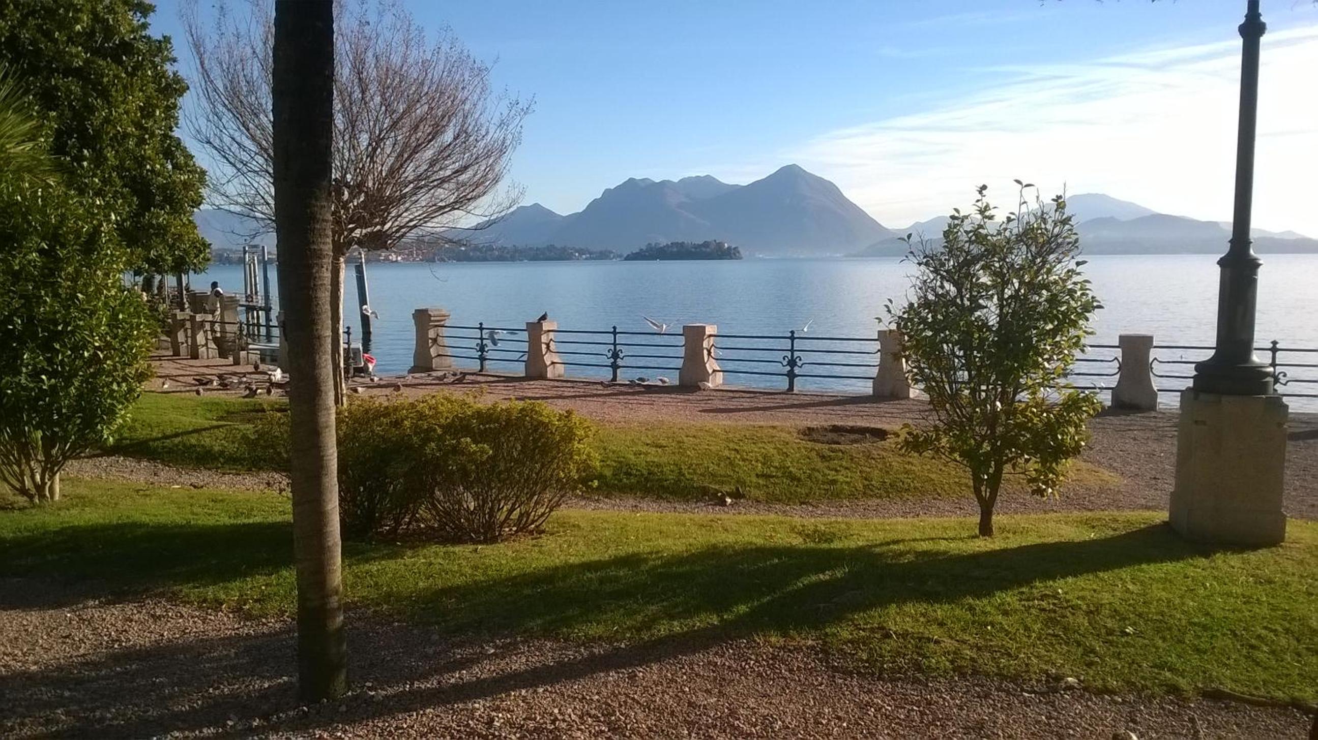 monolocale lago maggiore PALLANZA photo 3