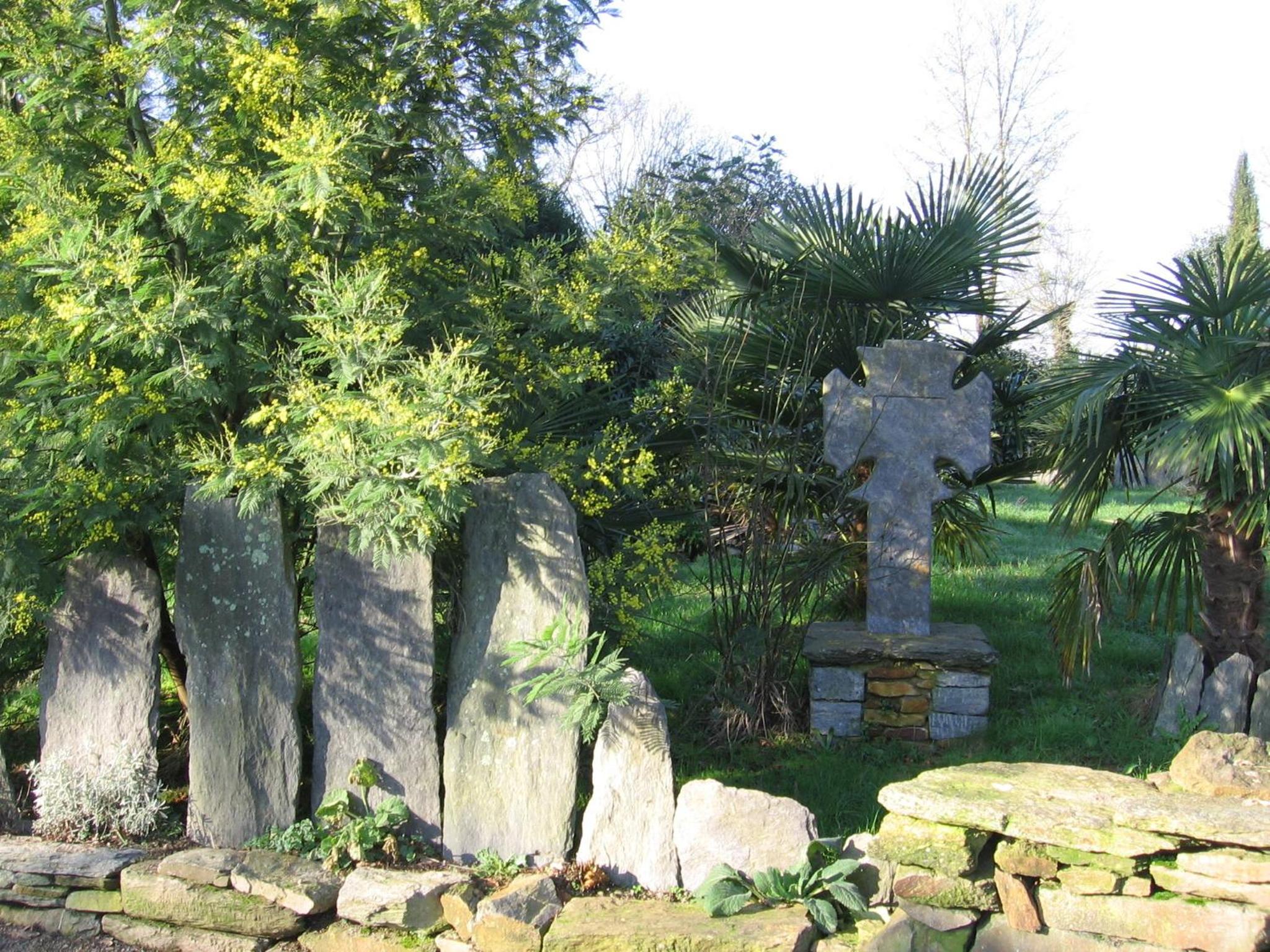 Photo 24