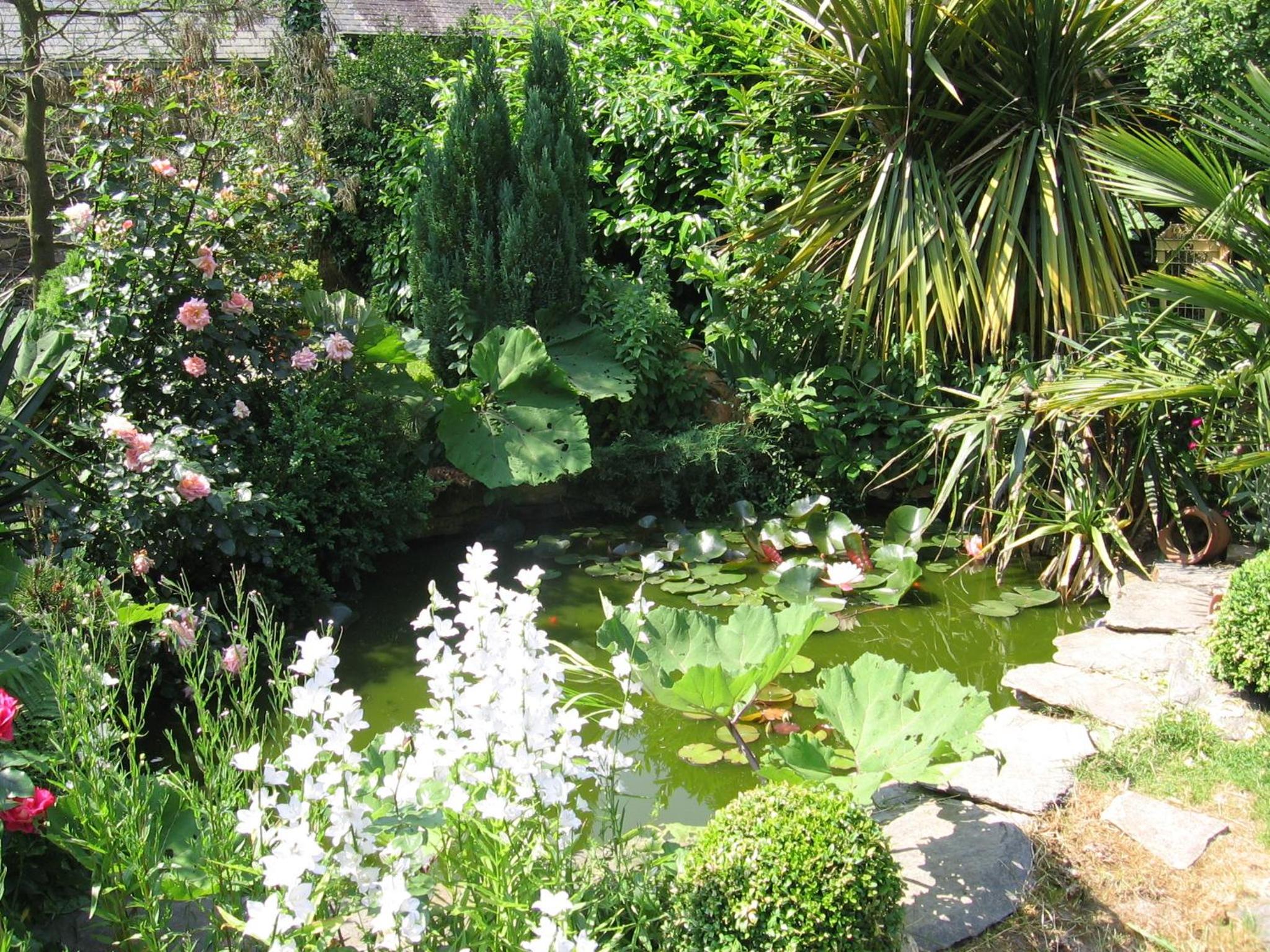 Photo 25