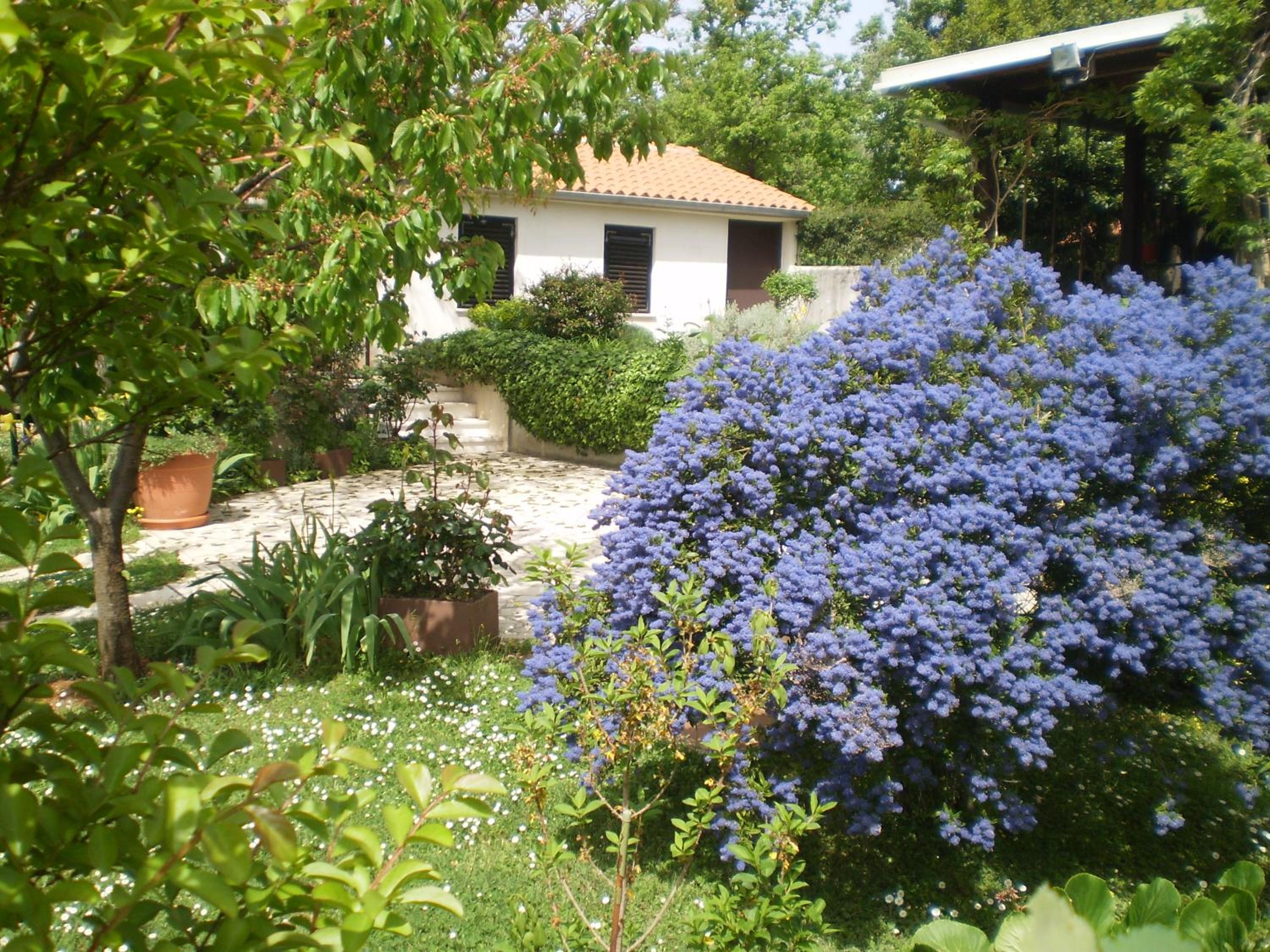 Lavanda Vacation Home.