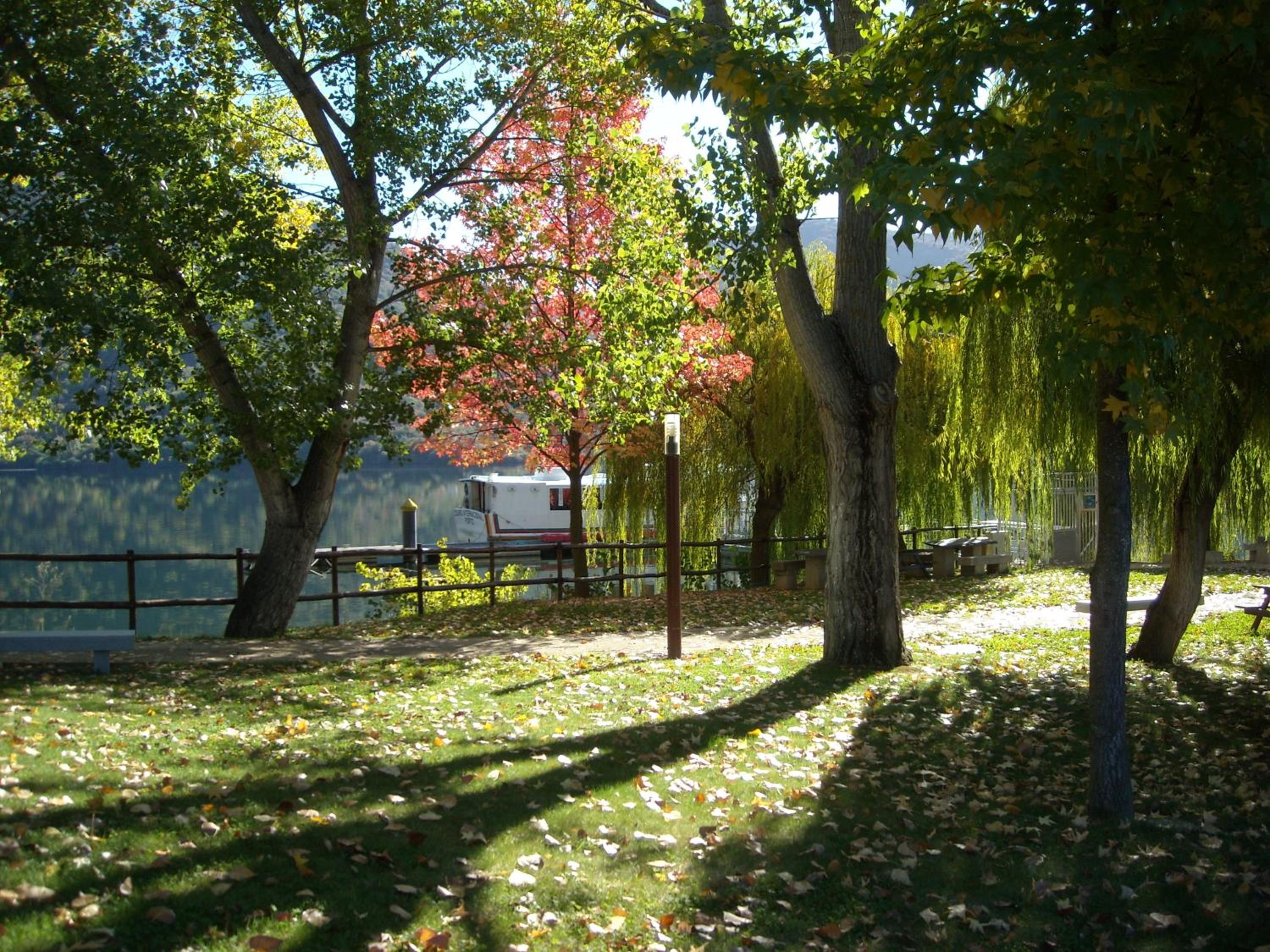 Photo 27