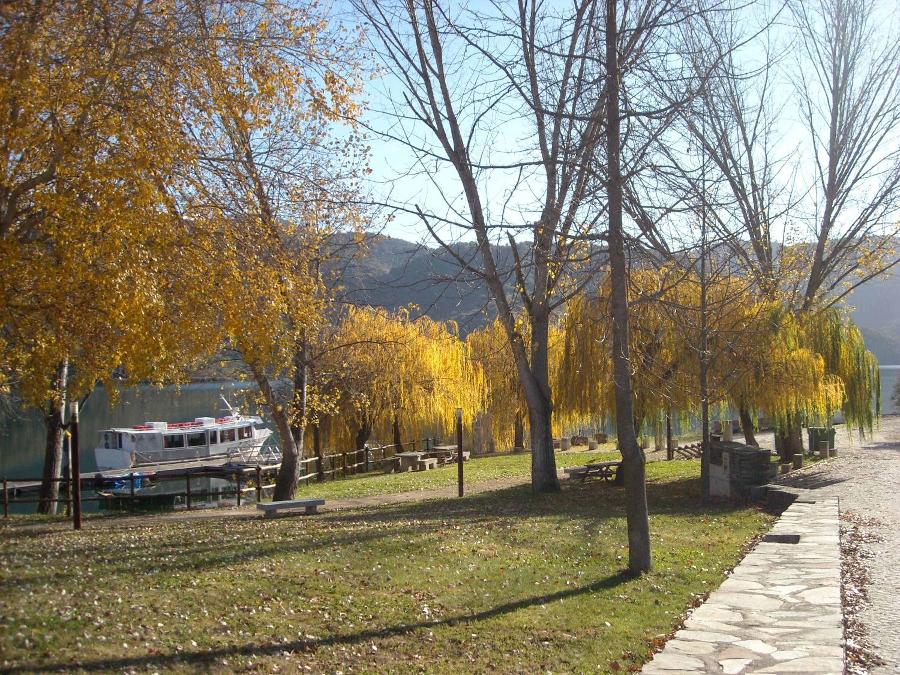 Photo 28