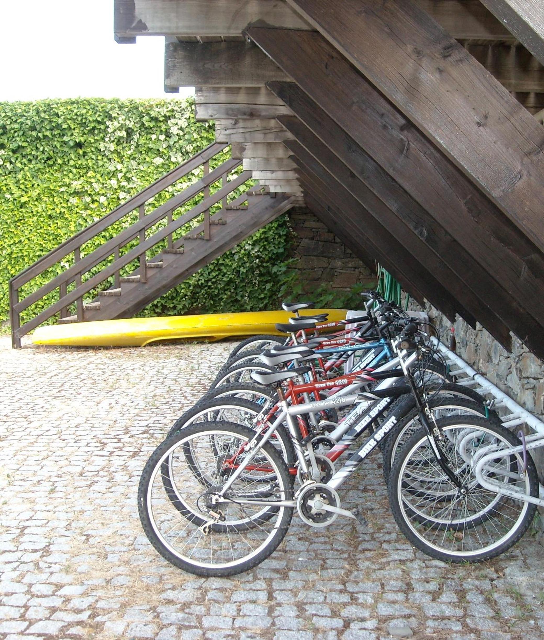 Photo 47