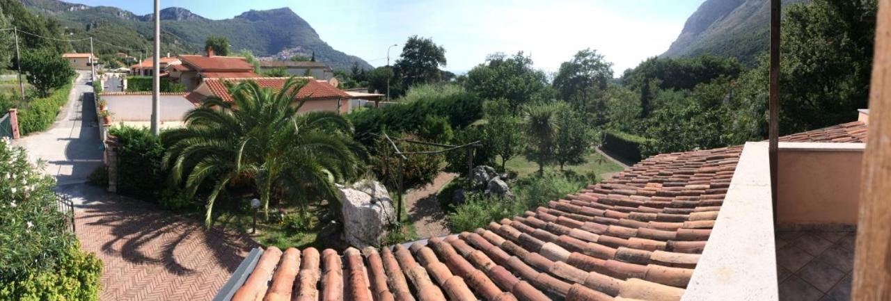 Villa Manatí photo 3
