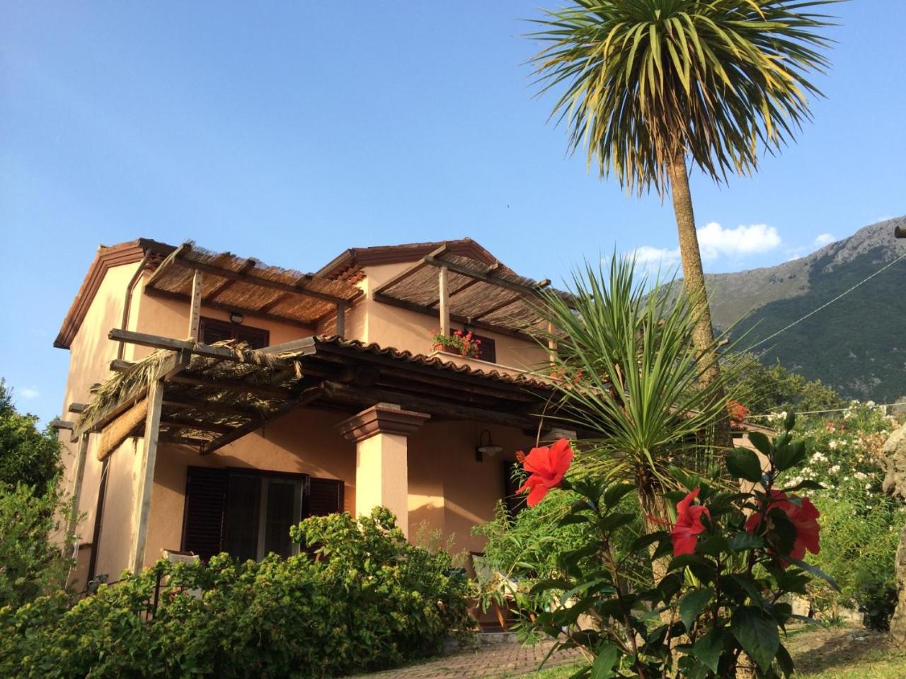 Villa Manatí photo 2