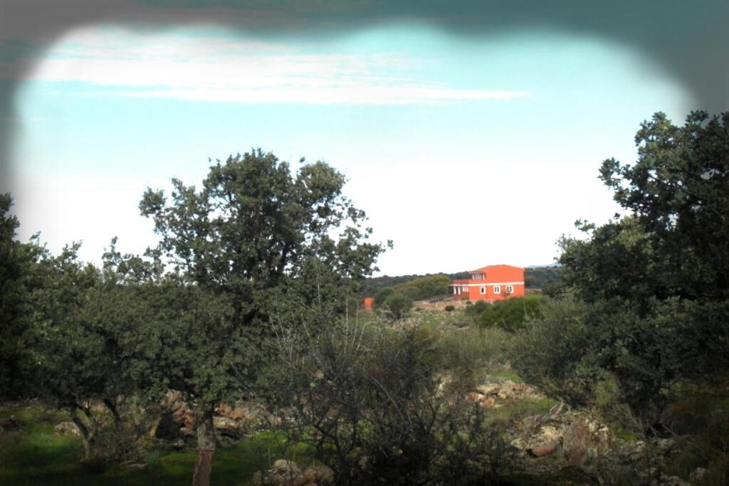 Photo 41