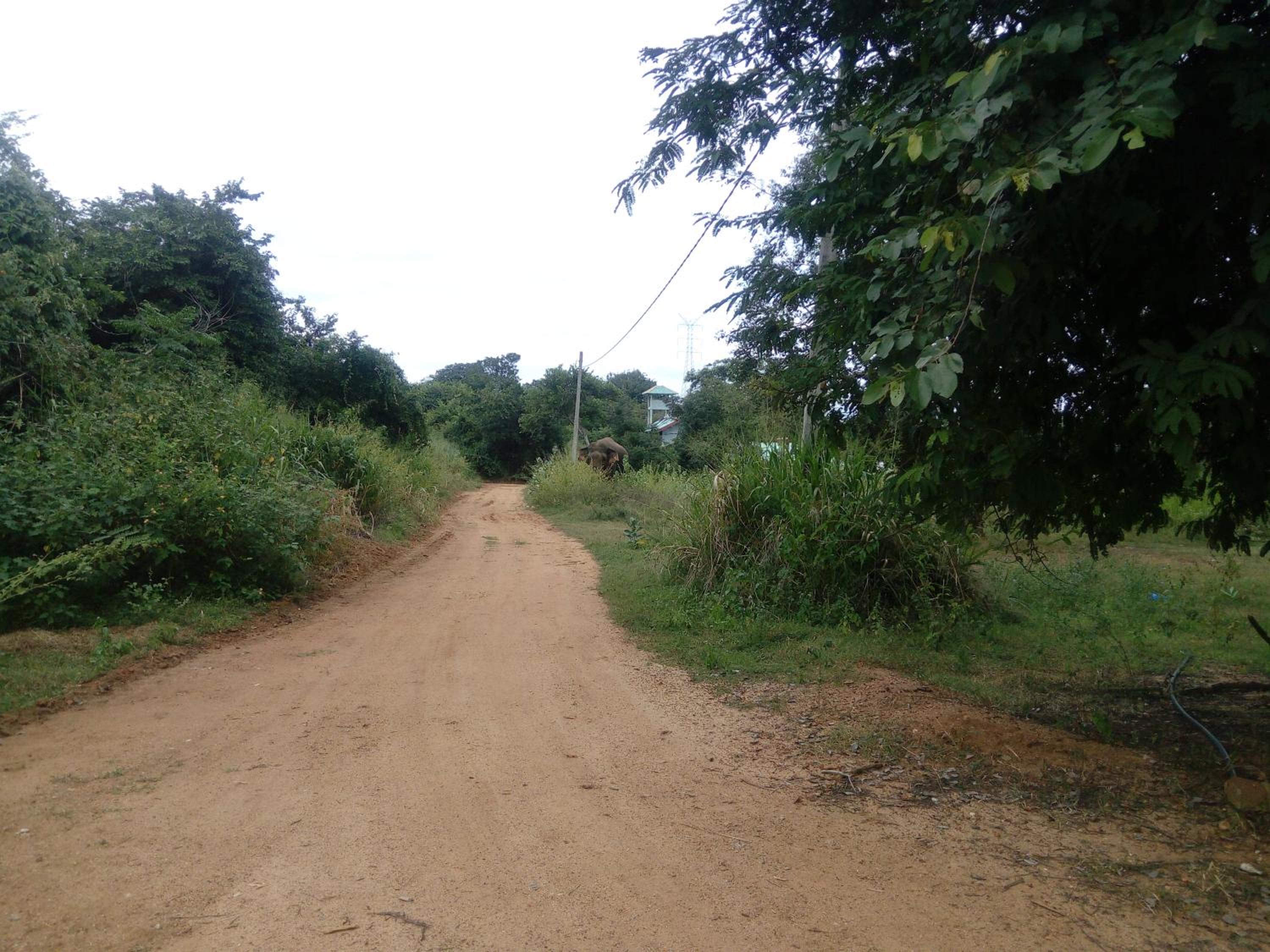 Photo 45