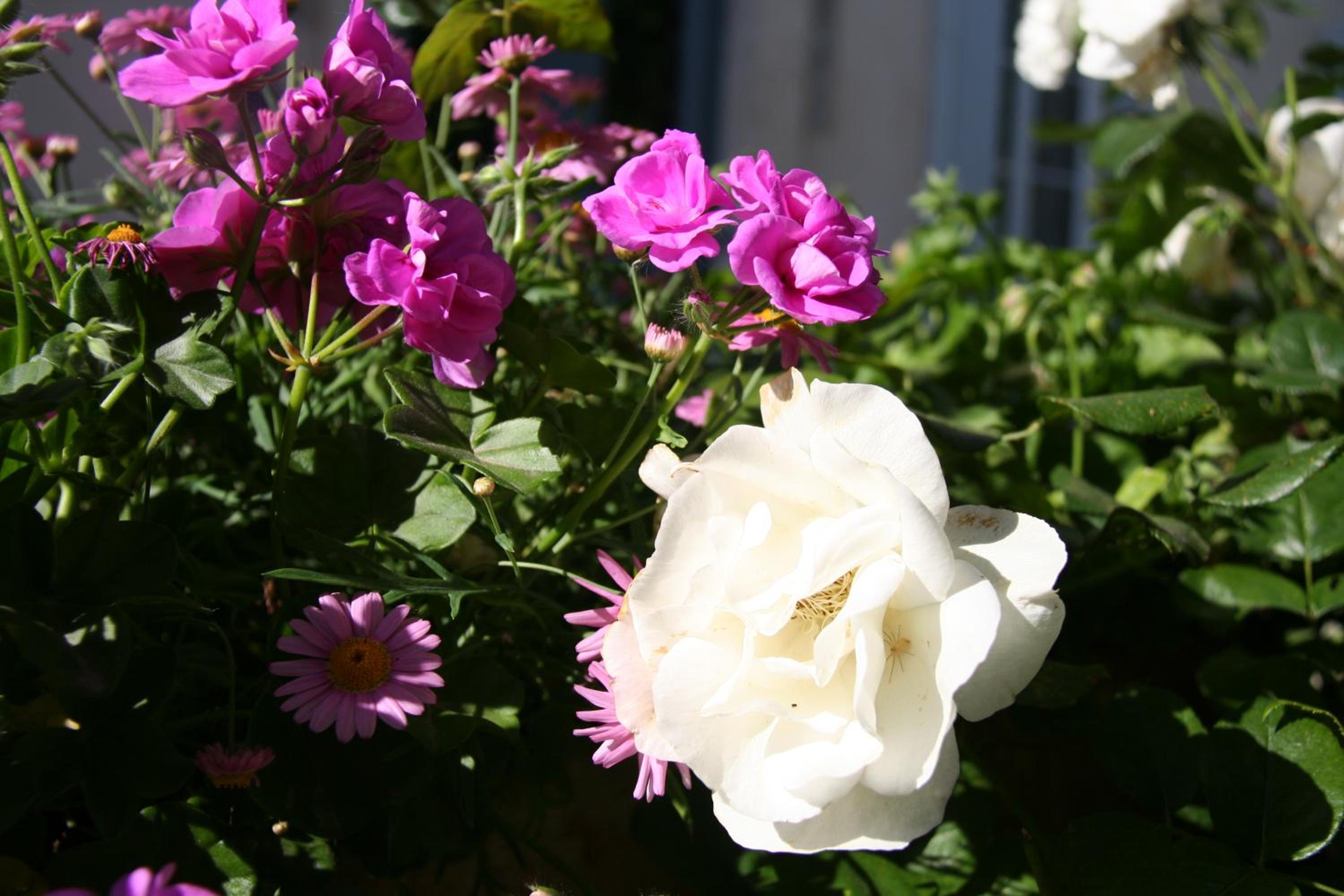 Photo 29