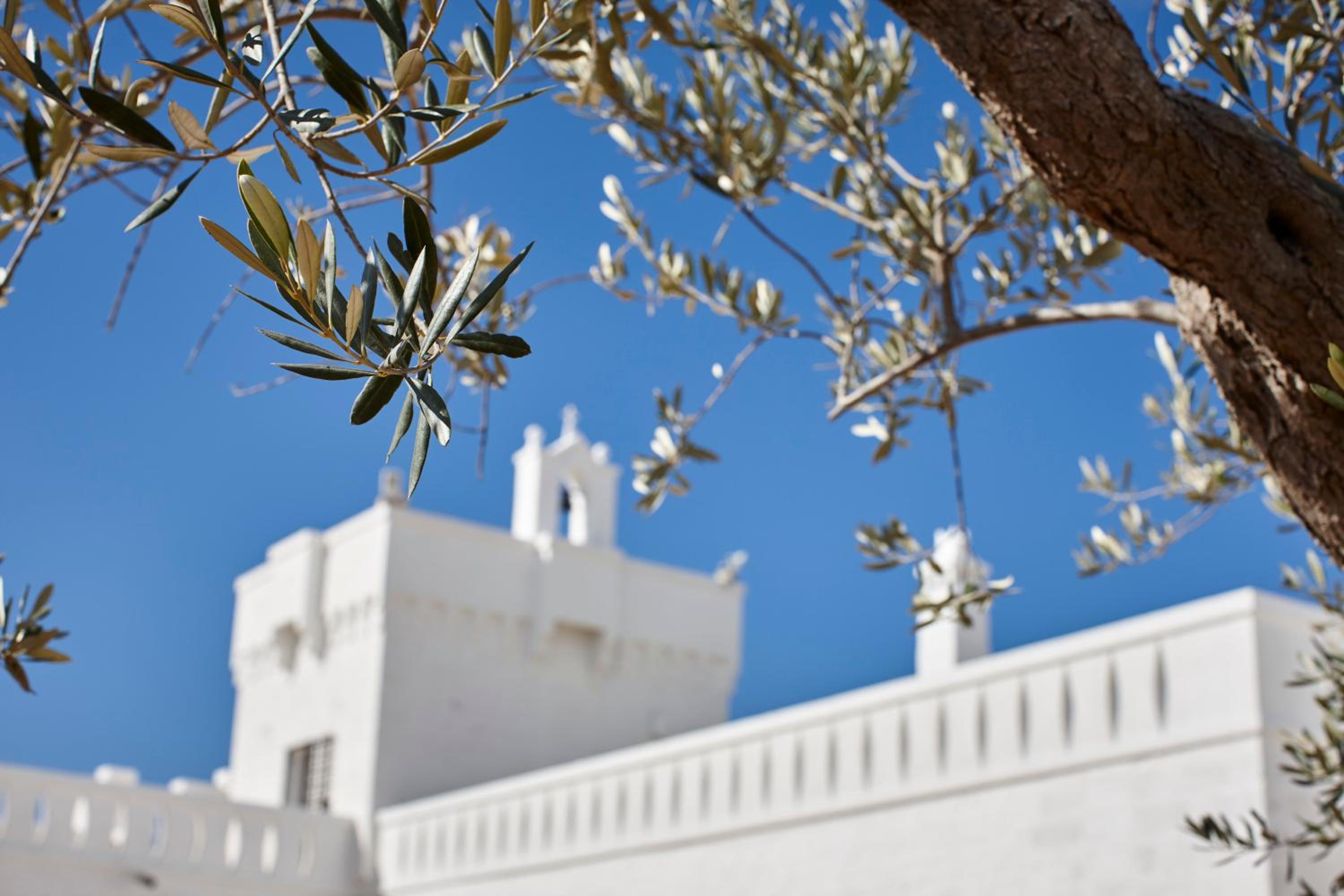 Masseria Almadava view 5