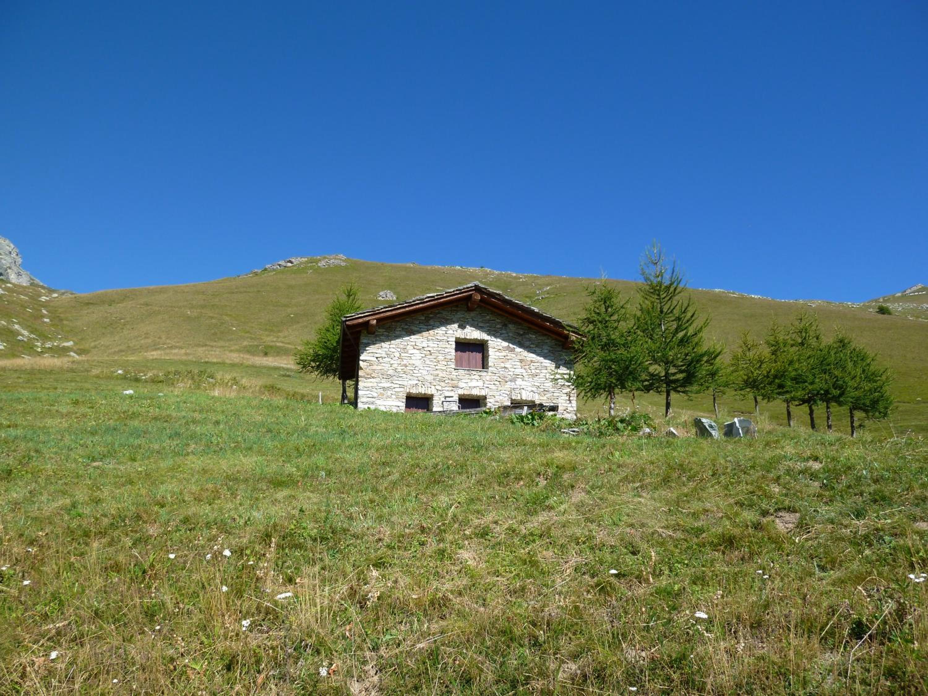 Photo 7