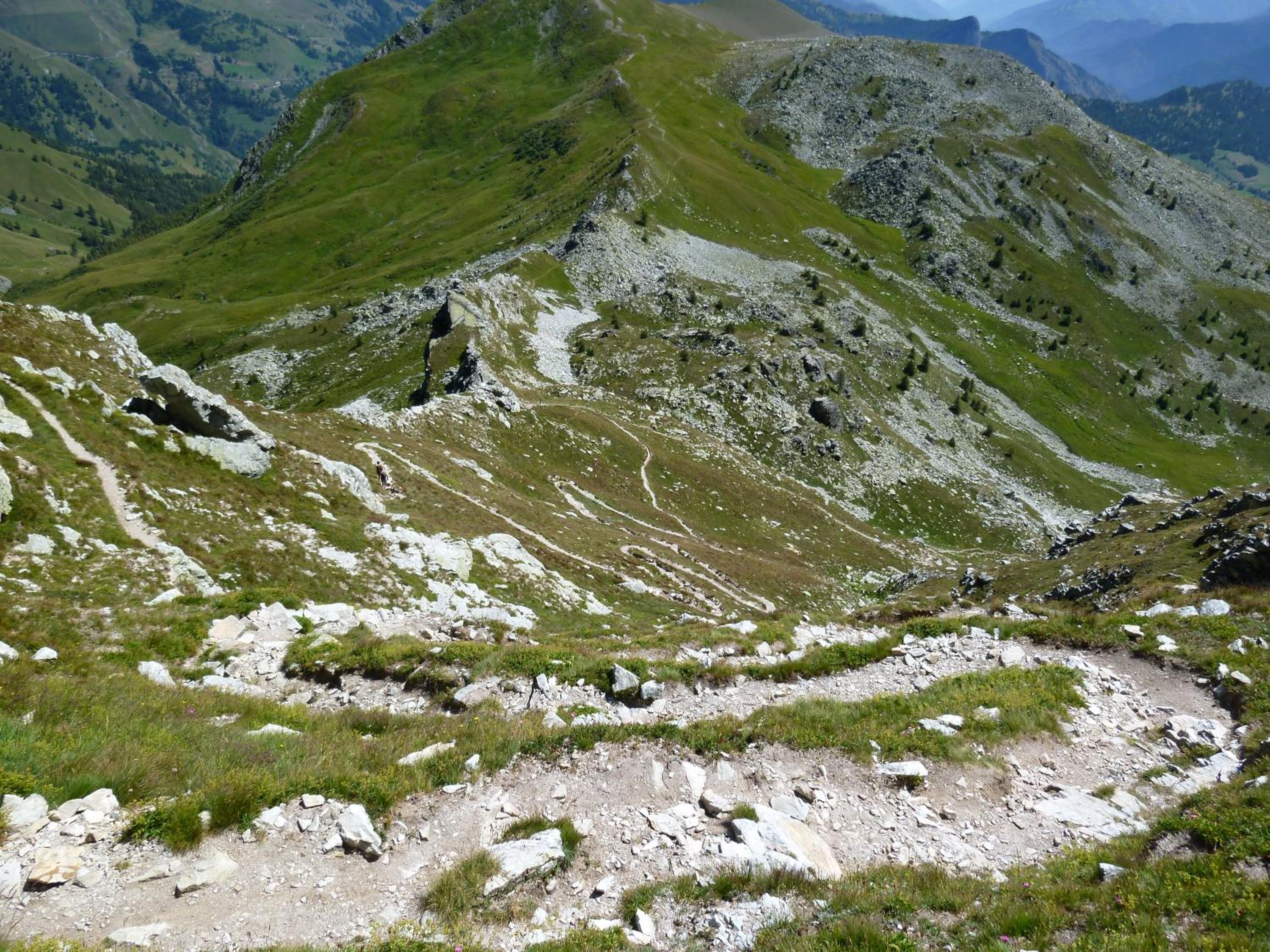 Photo 10