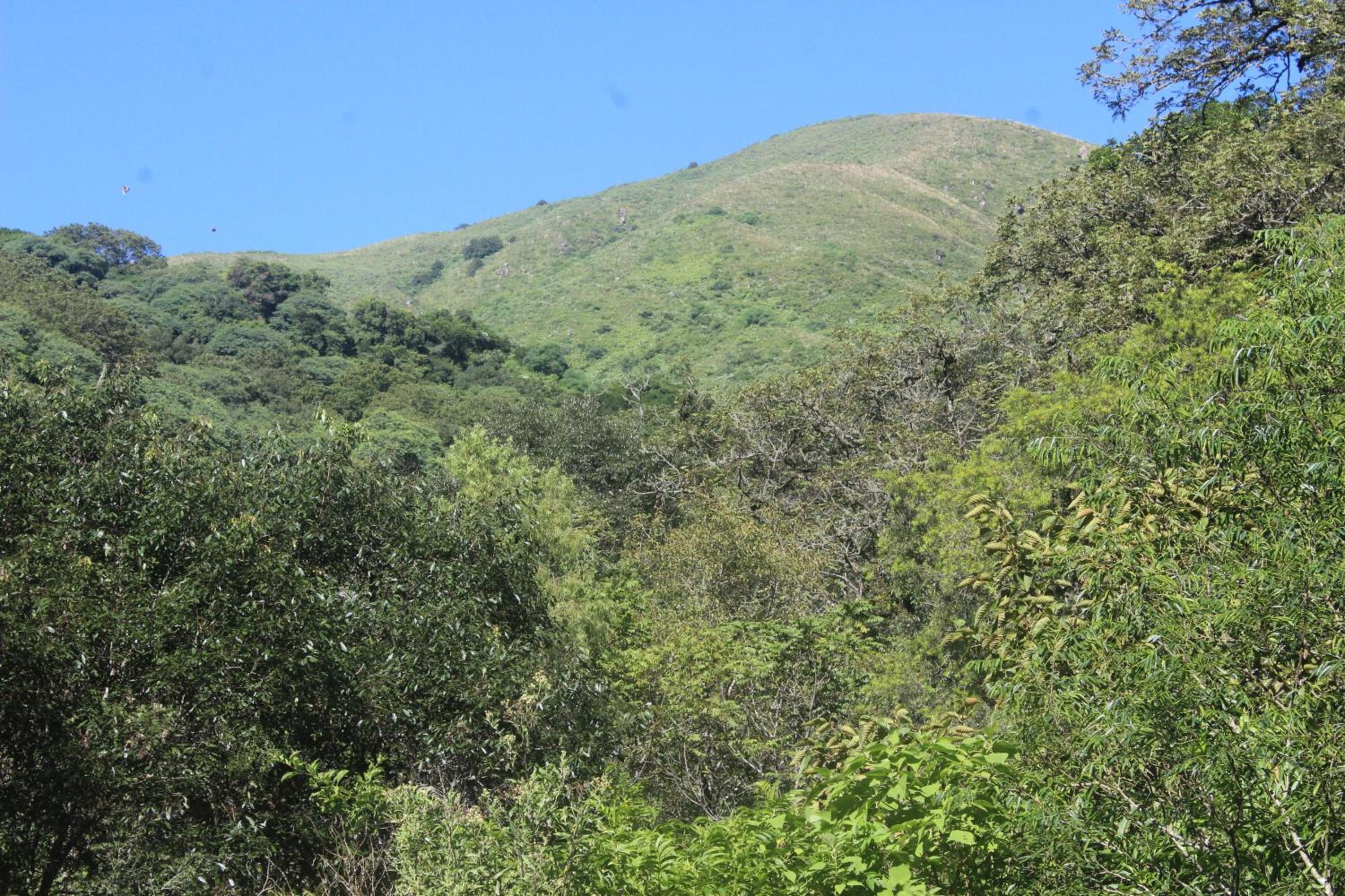 Casa de Bambu Salta