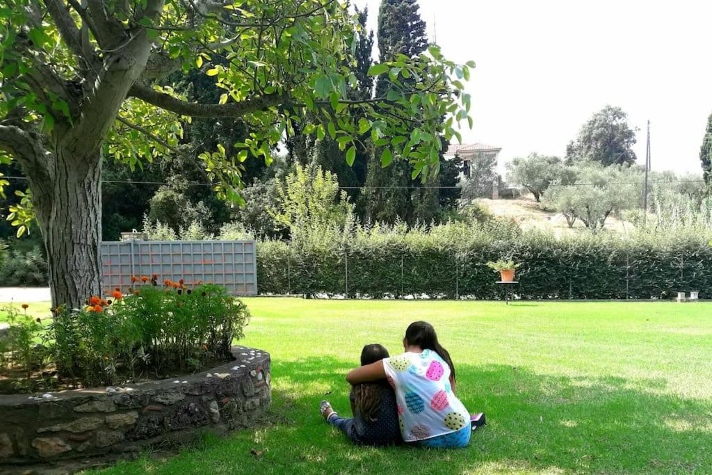Photo 29