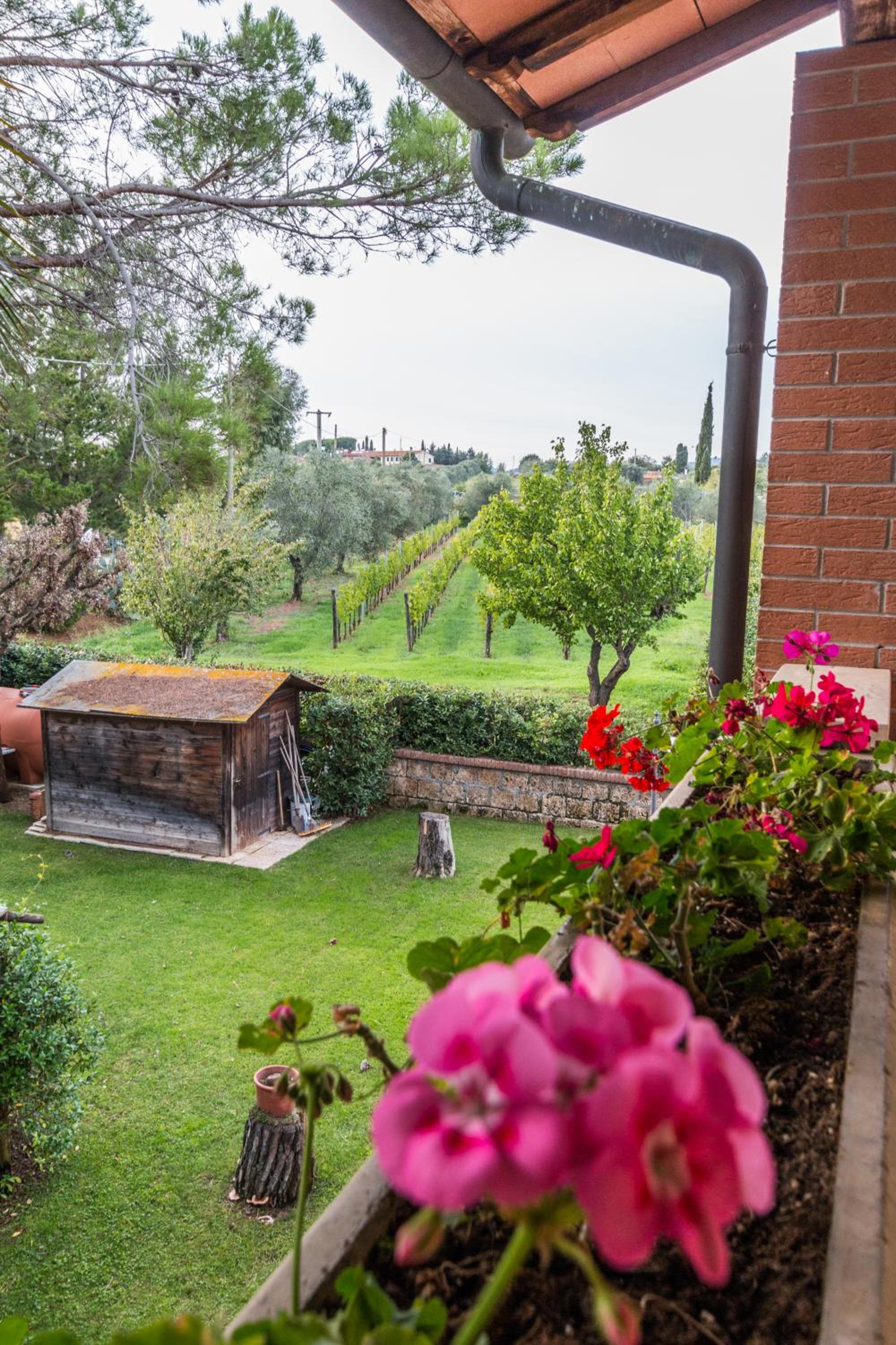 Agriturismo Villa Isa view 4