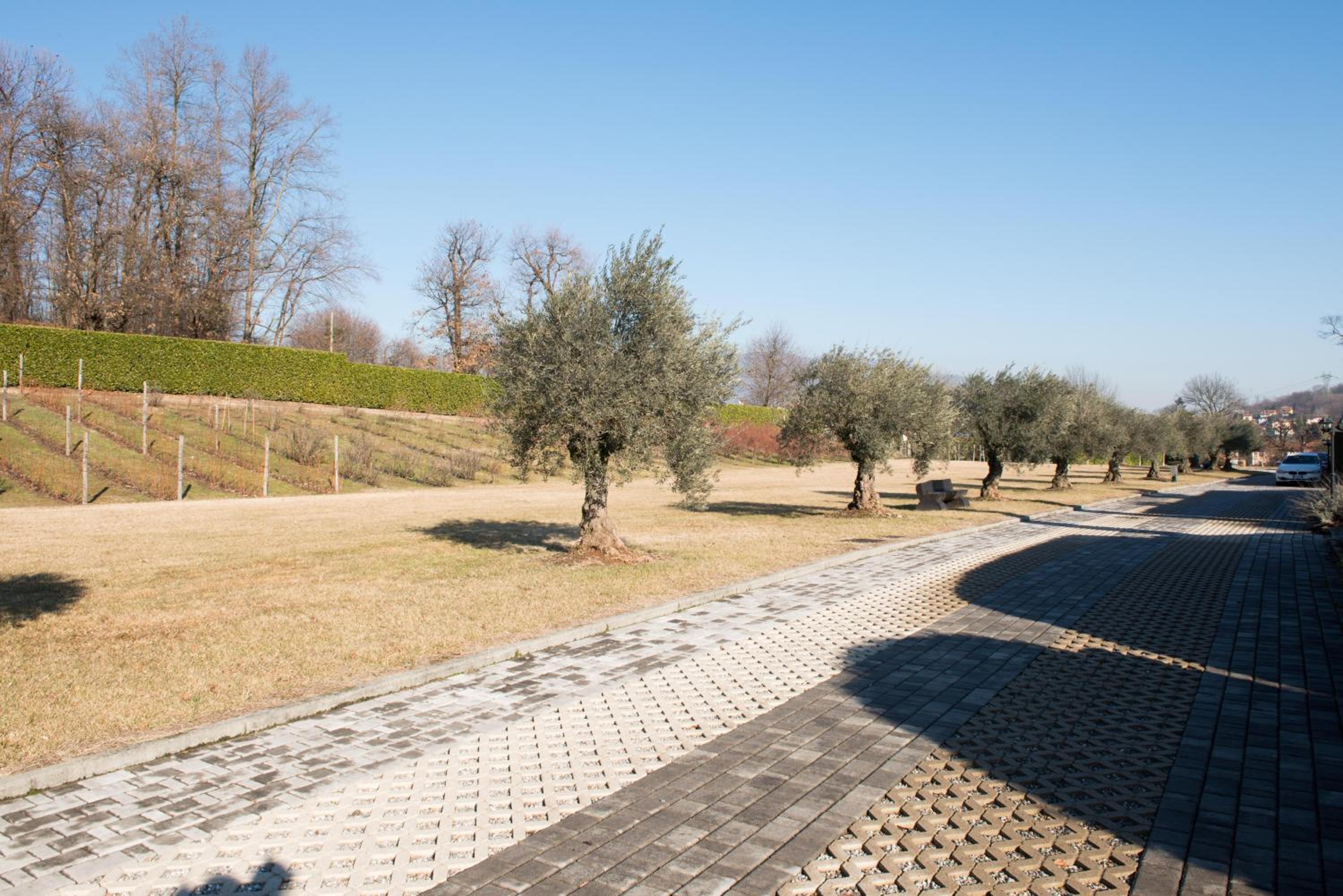 Tenuta La Vigna view 2