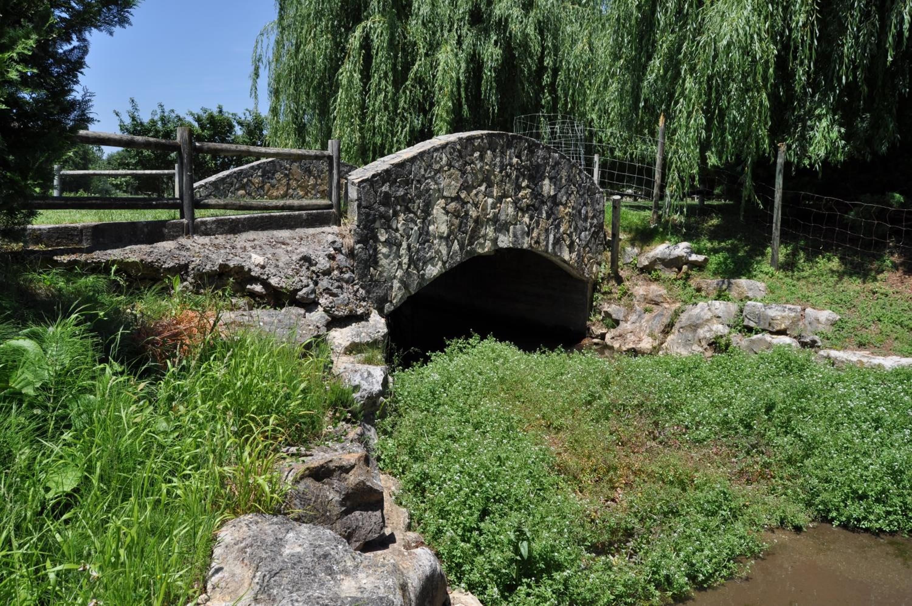 Photo 22