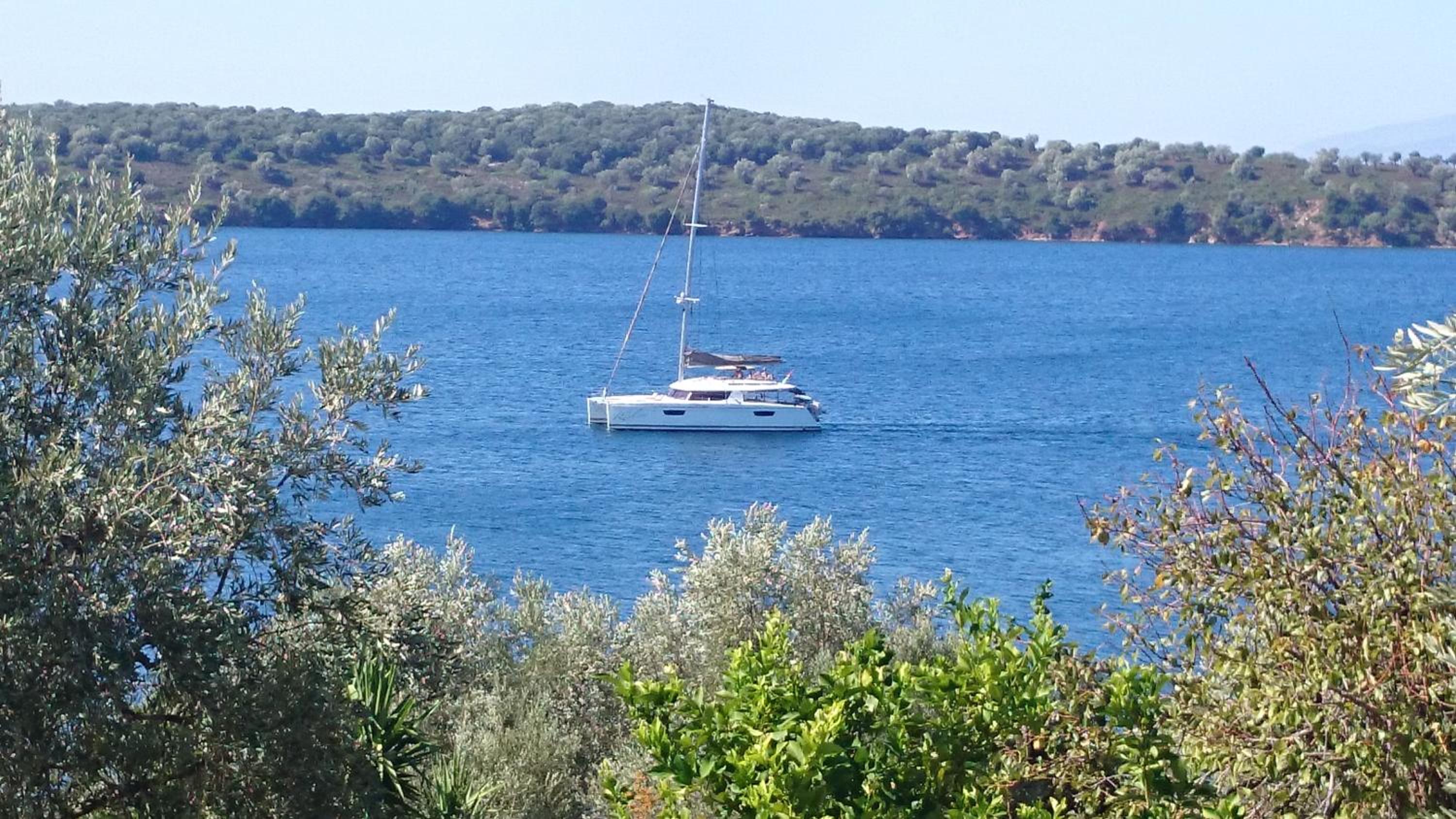 Saint Andrews Bay photo 4