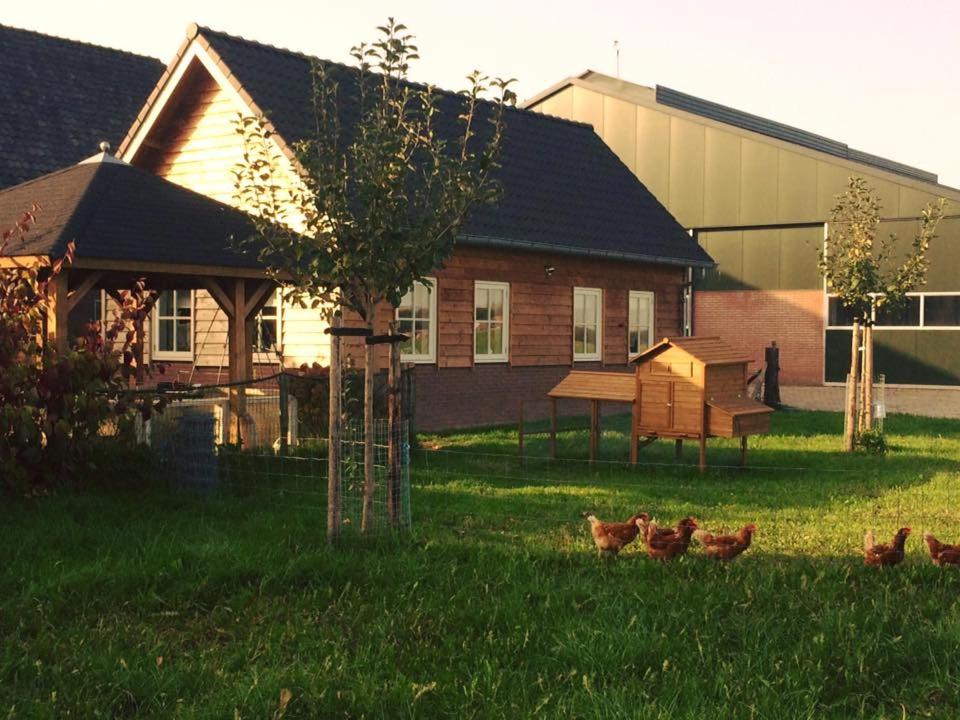 Photo 18