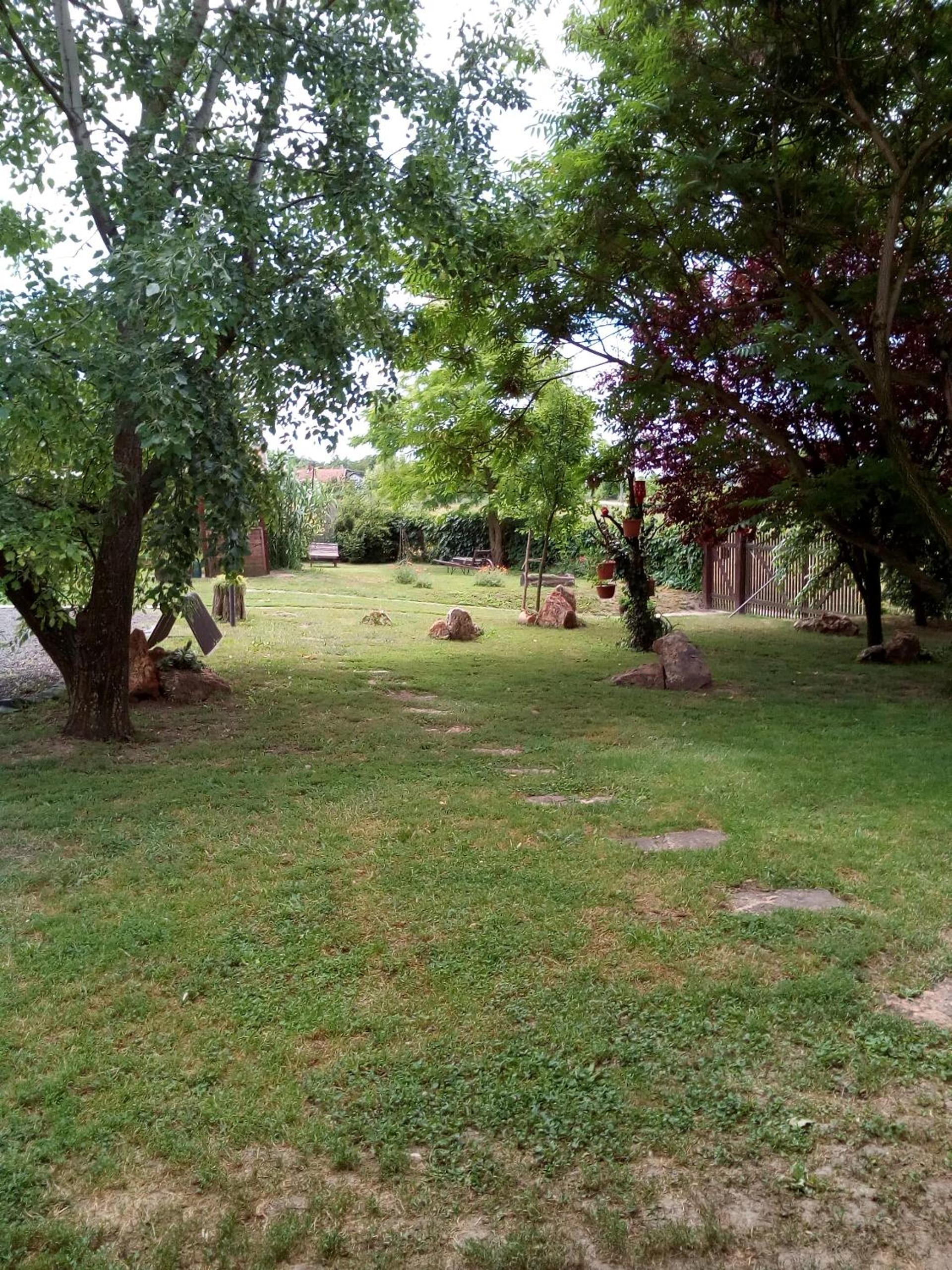 Photo 21