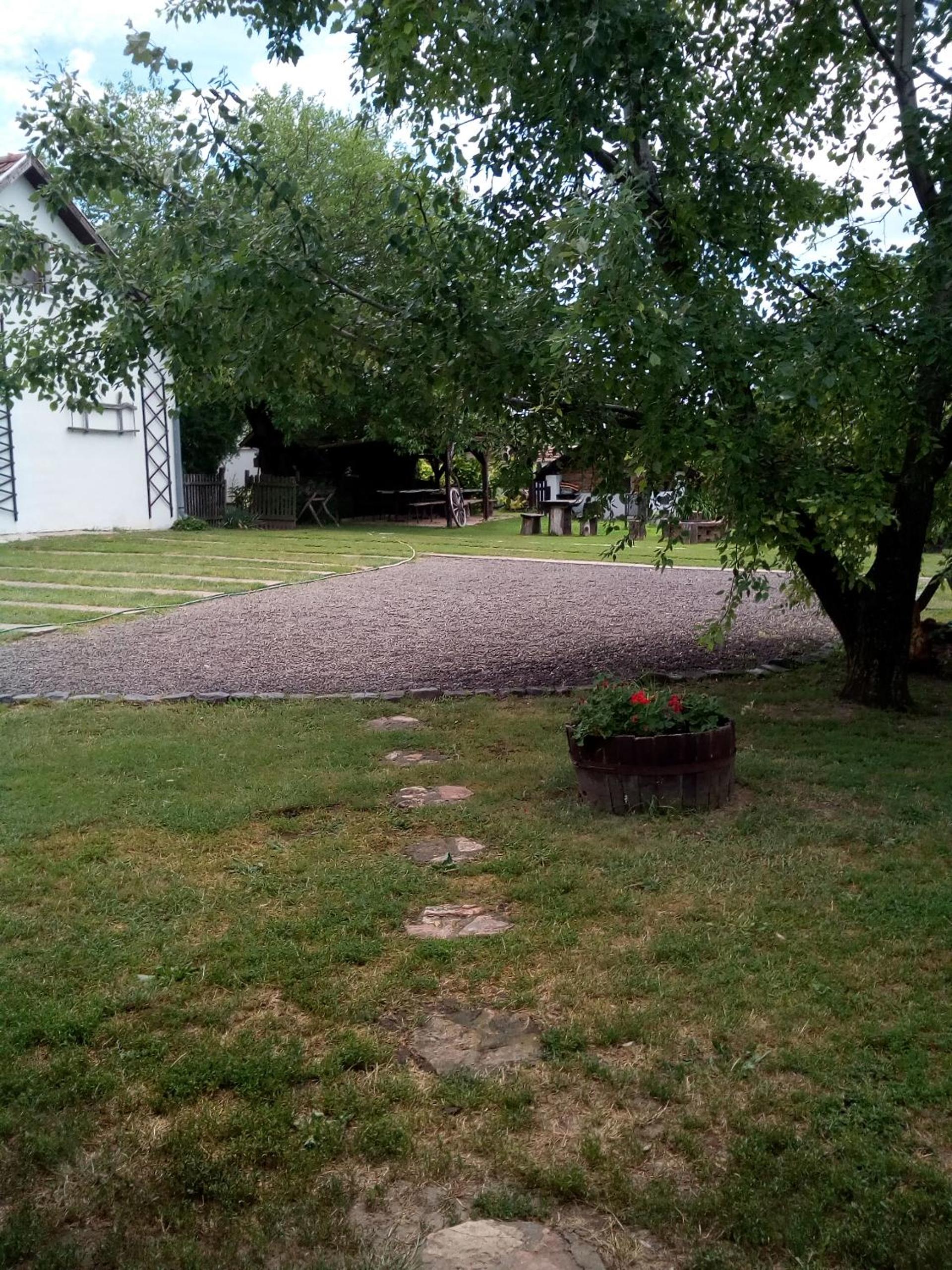 Photo 22