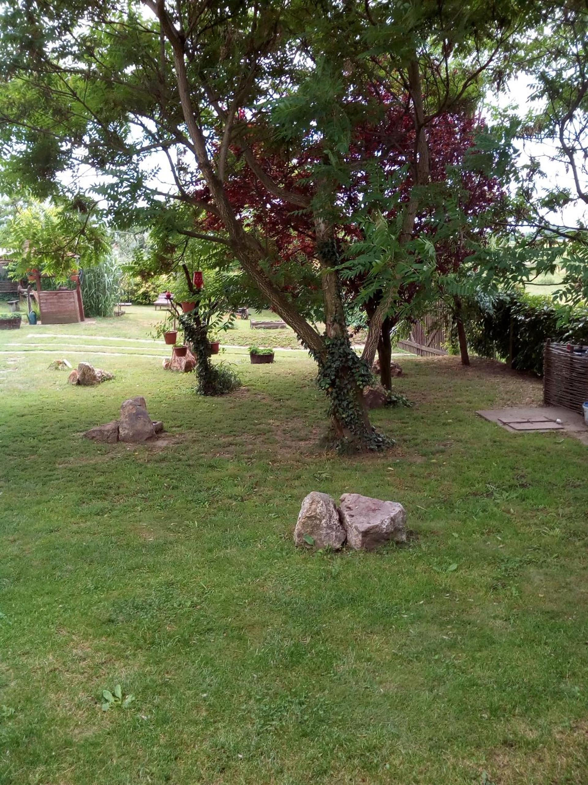 Photo 23