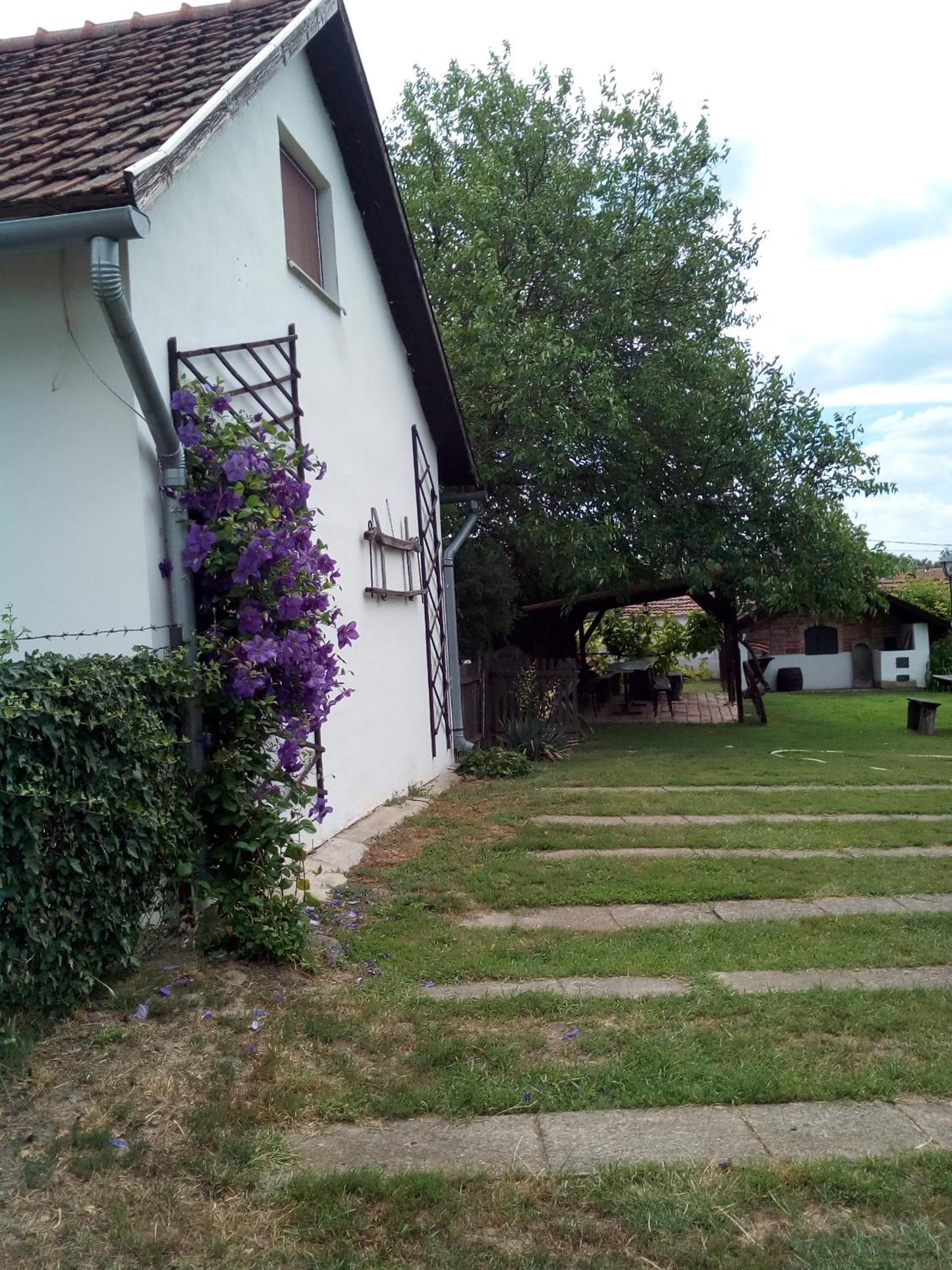Kiad-lak apartmanok view 2