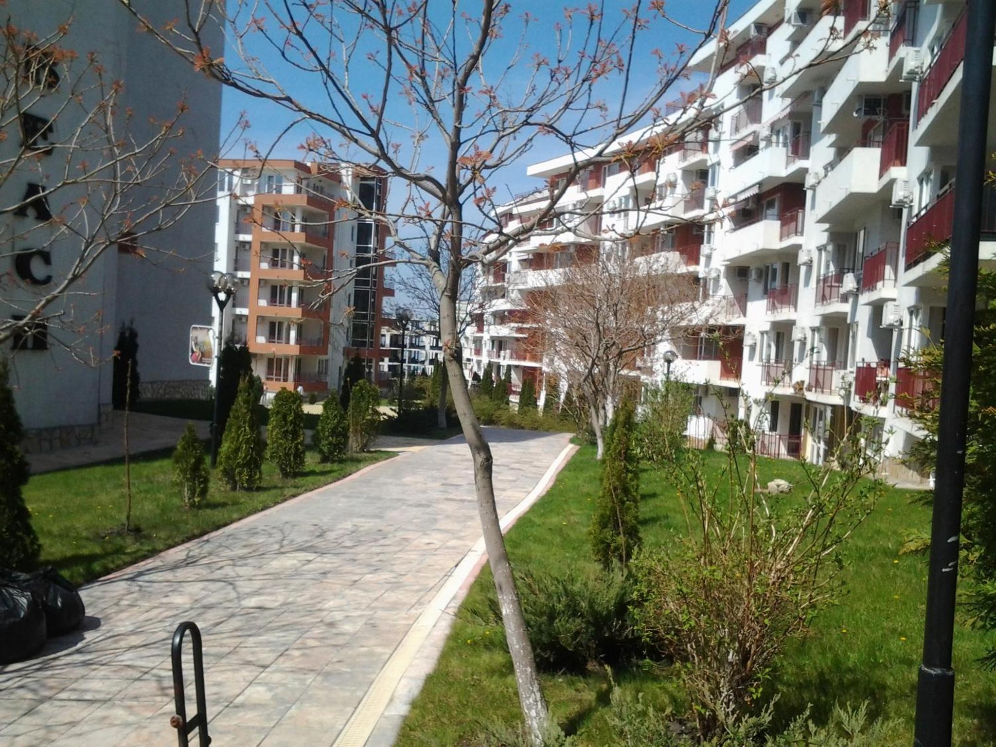 Photo 13
