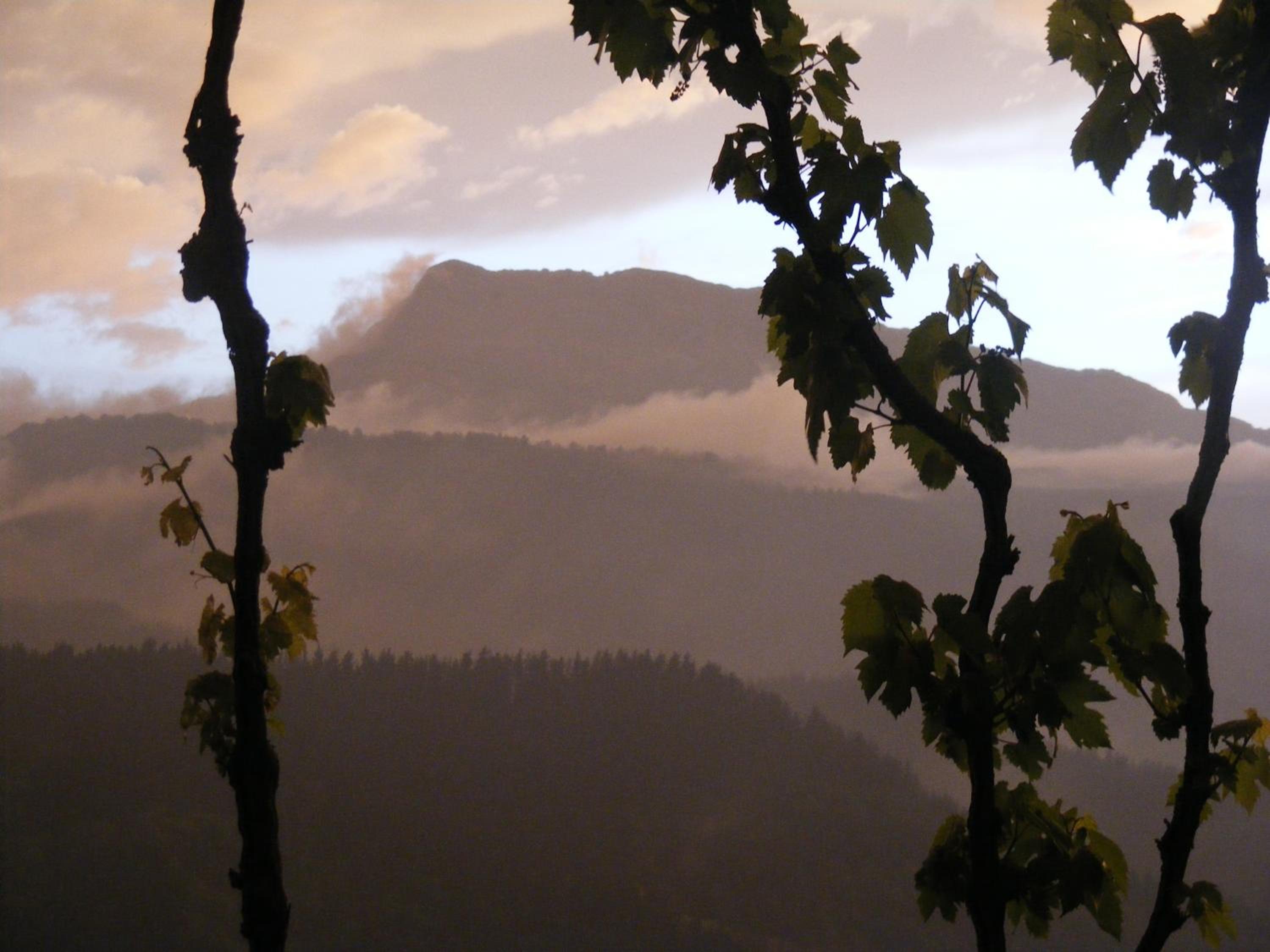 Casa Rural Altzuste Landetxea photo 5