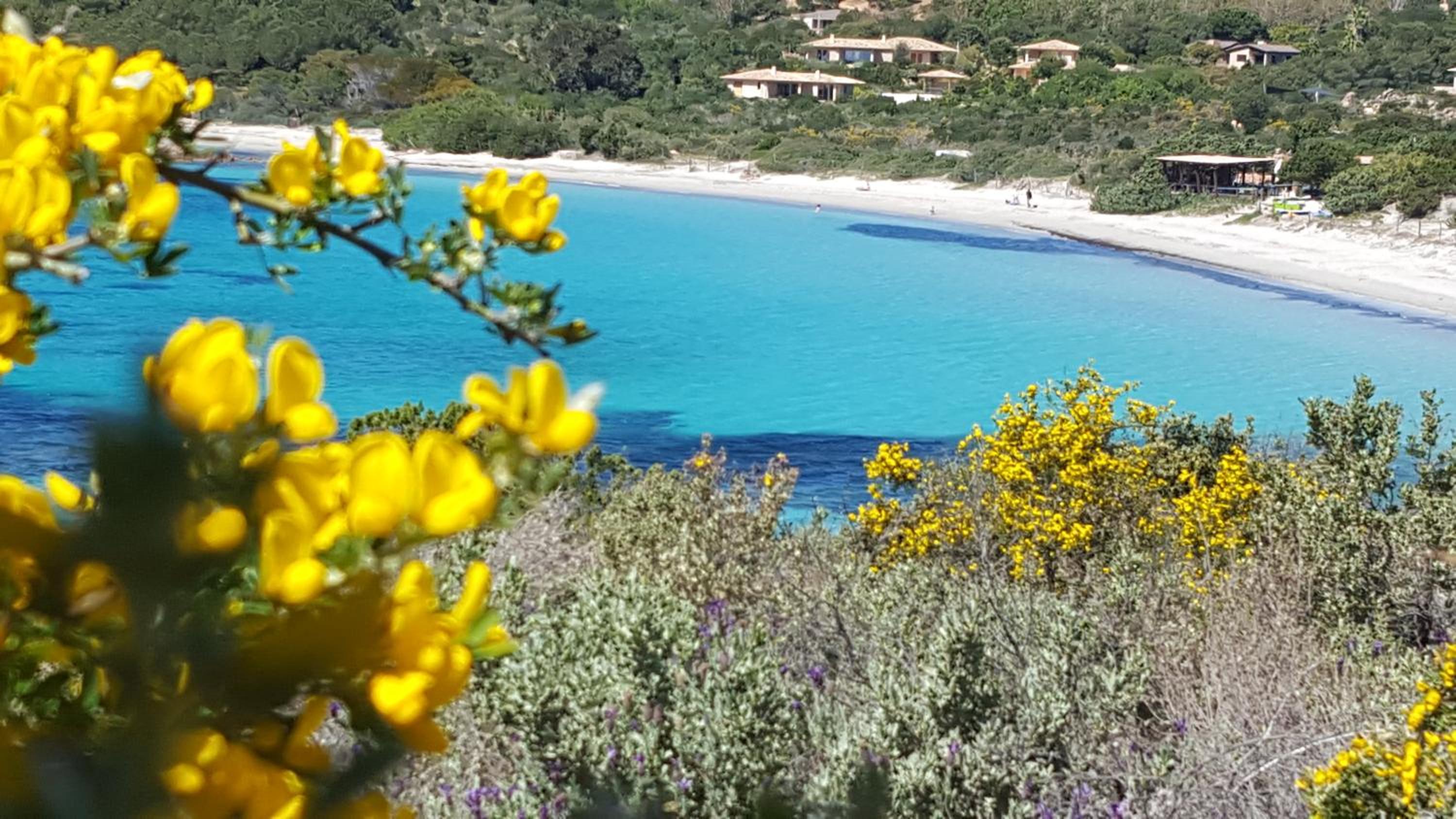 Locations Résidence Rocca Rossa Palombaggia