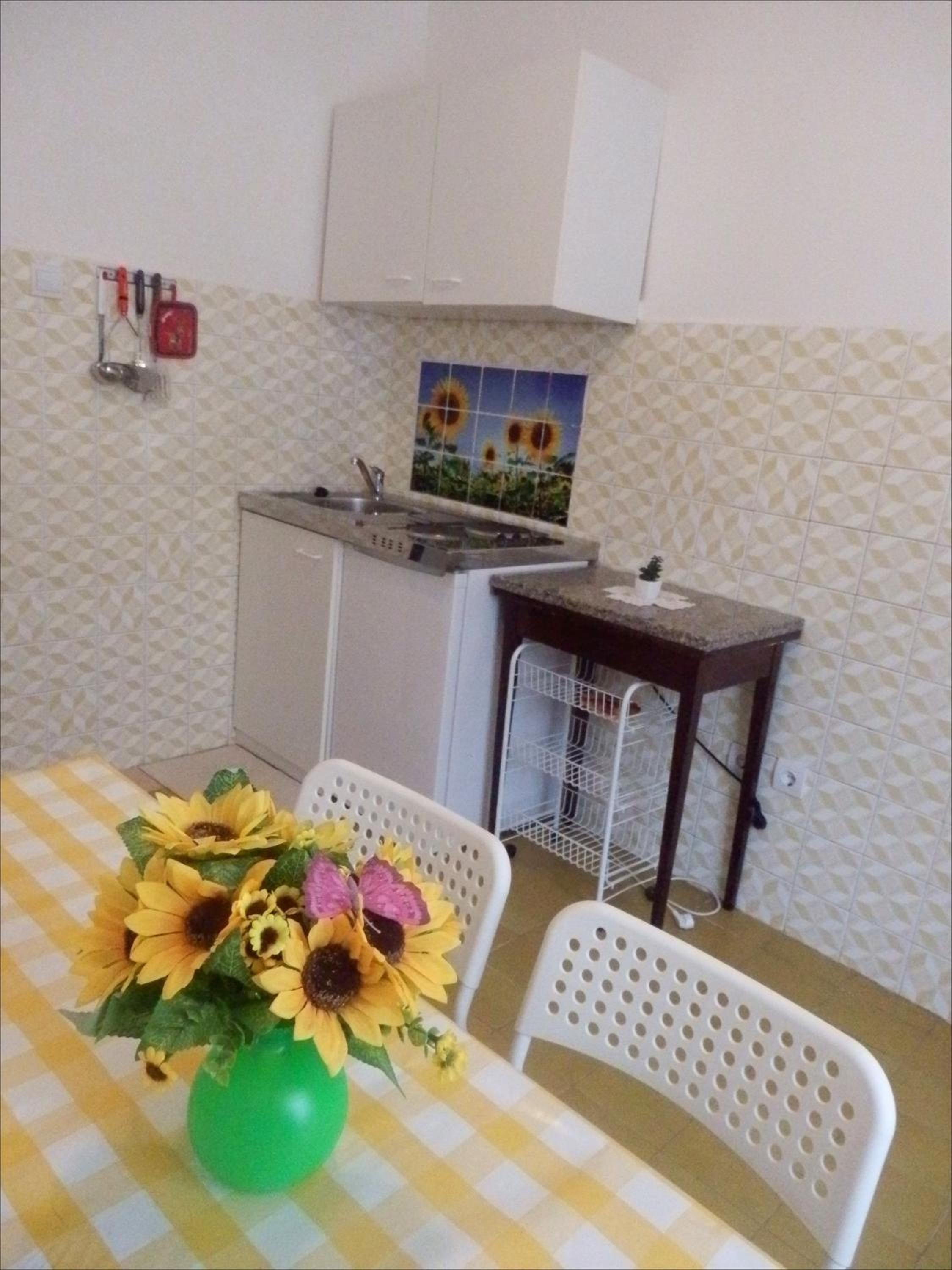 APP Veselica view 5