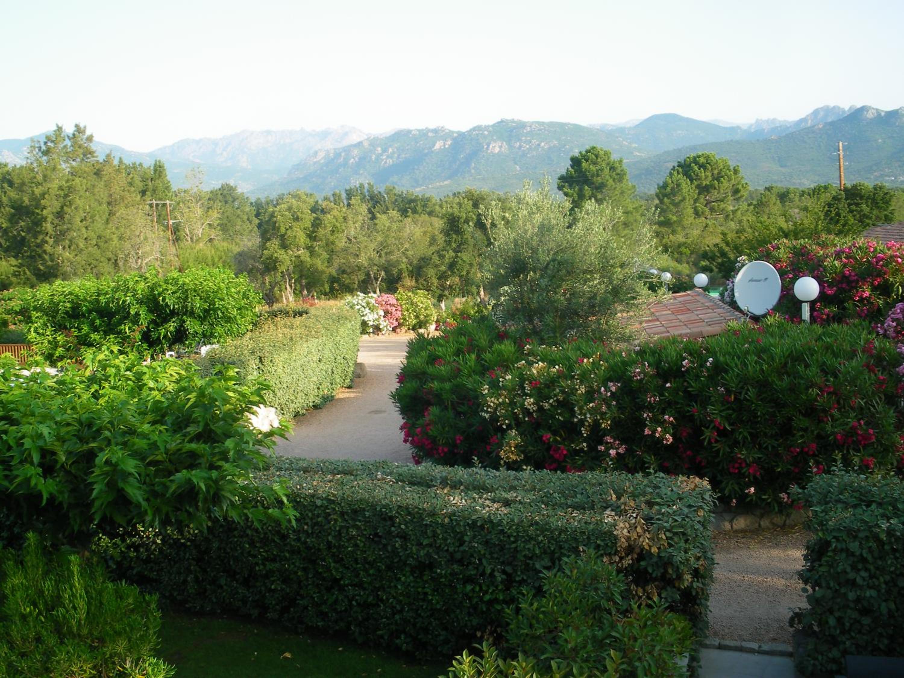 Photo 36