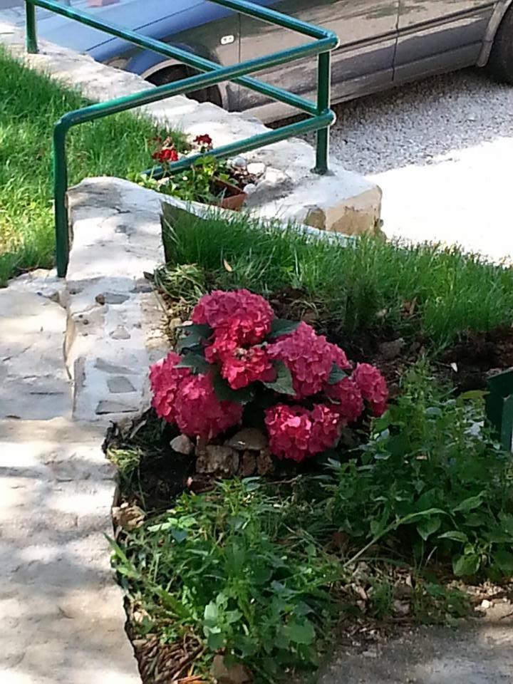 Photo 33