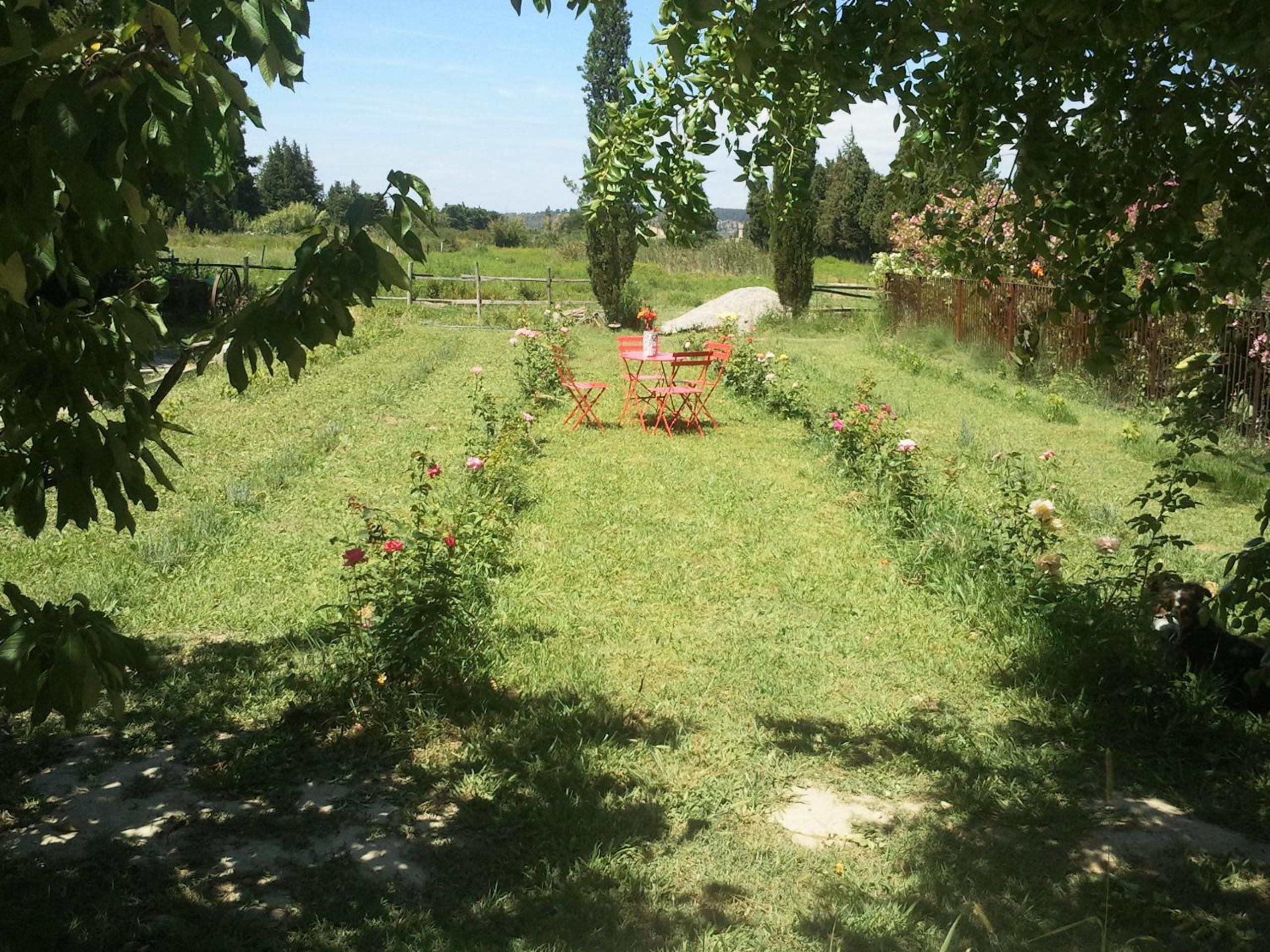 Photo 15