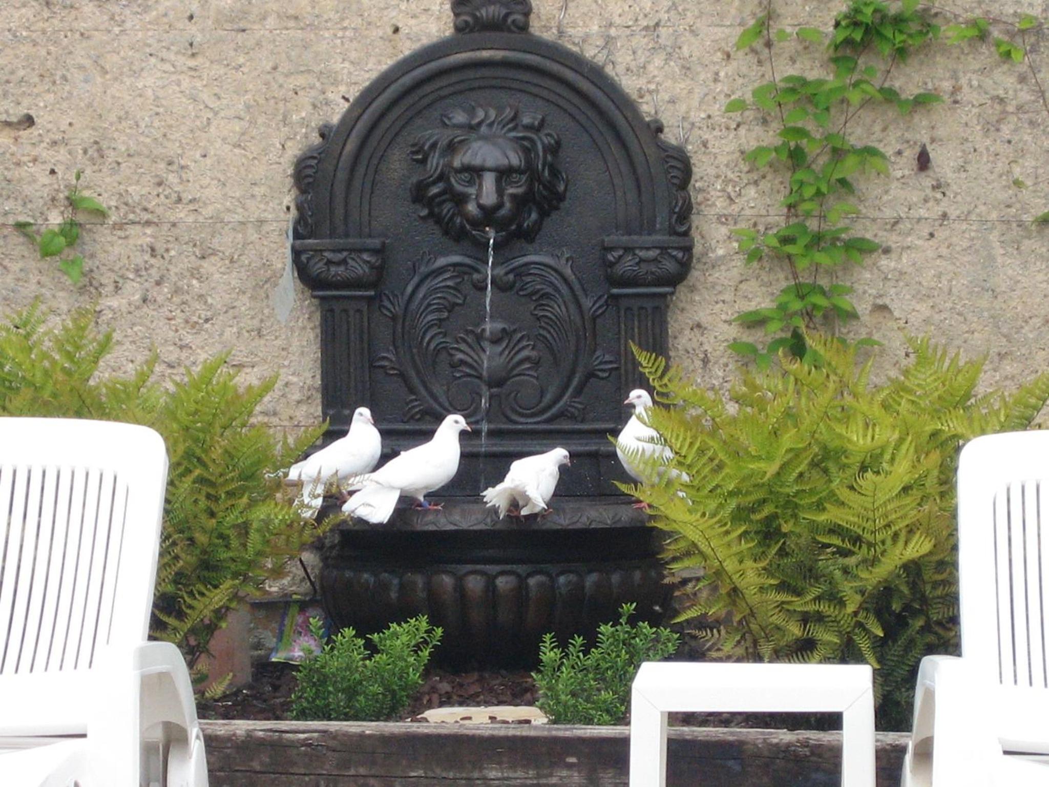 Appartement Domaine de la Freslonnière