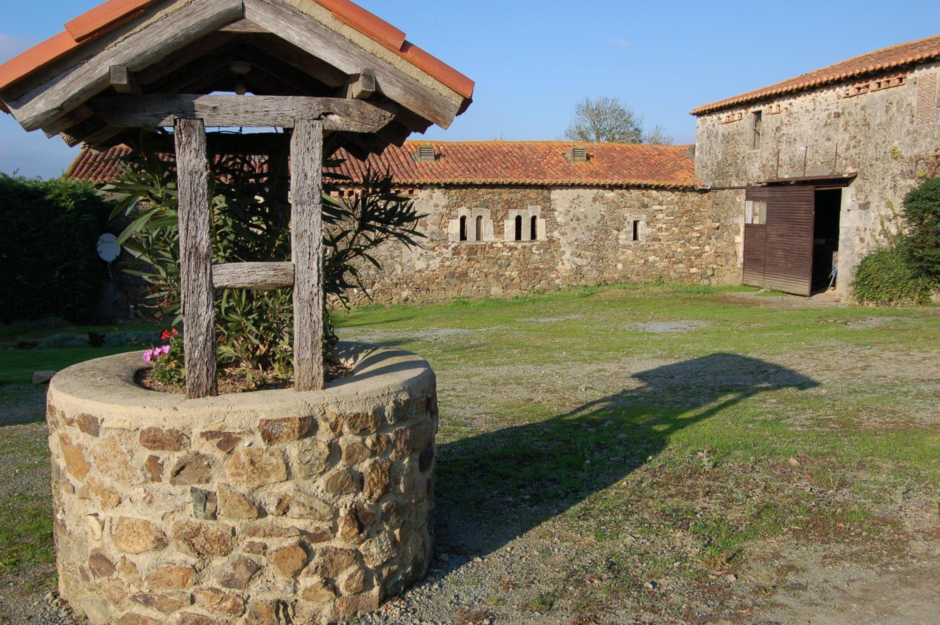 Photo 46