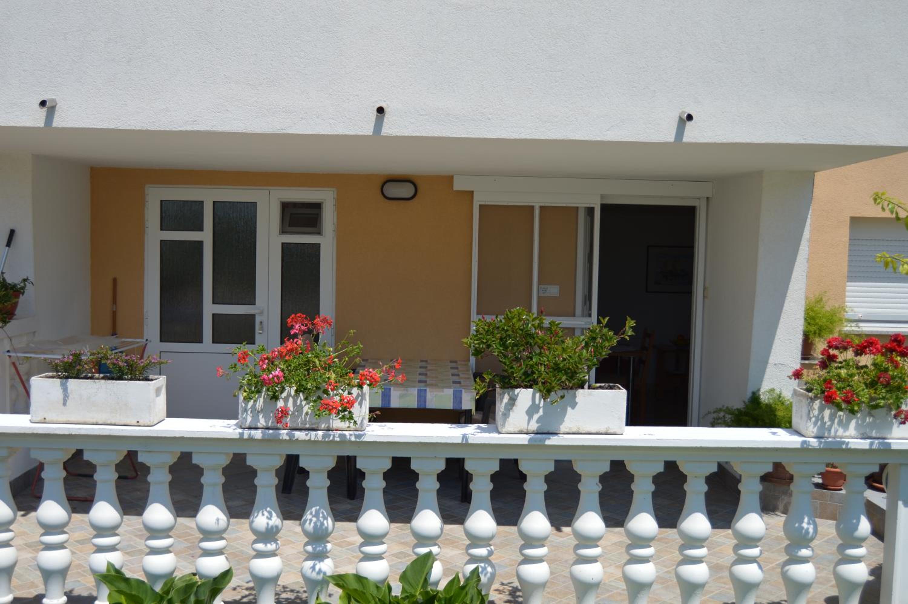 Apartman Latin 1