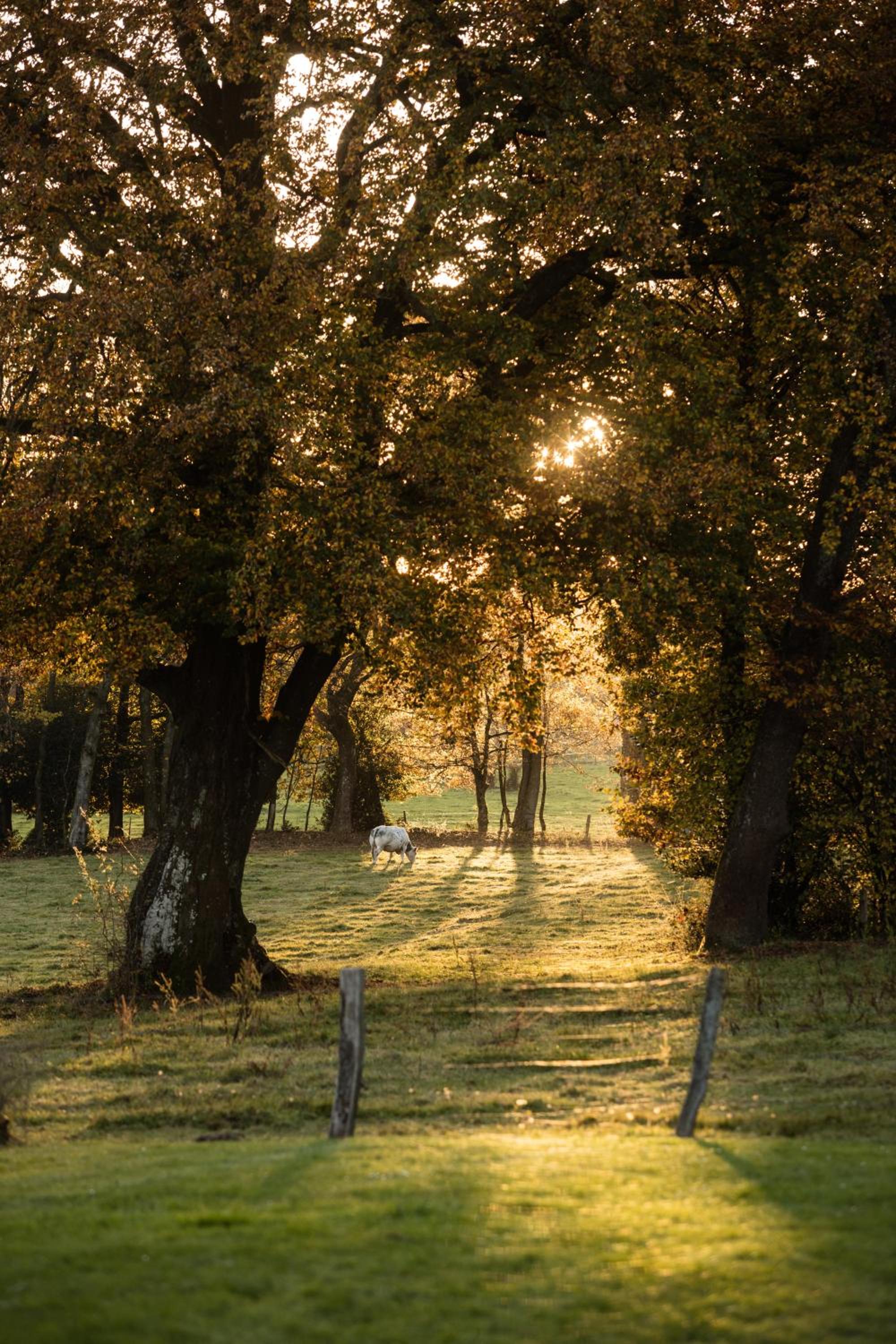 Hotel B&B La Gotale - Image 1