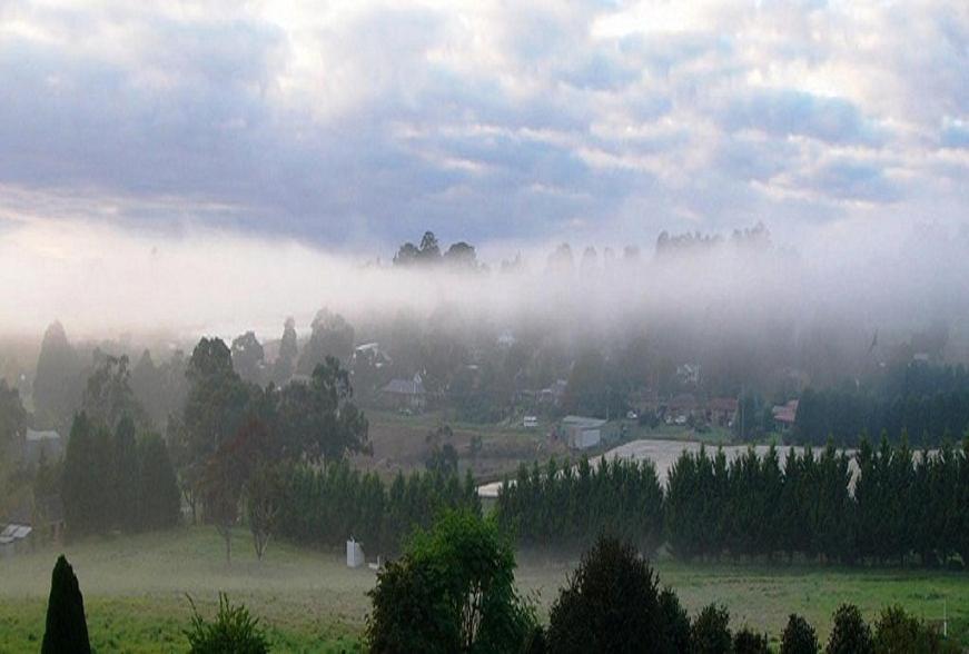 Eagle's View Cottage - Yarra Valley