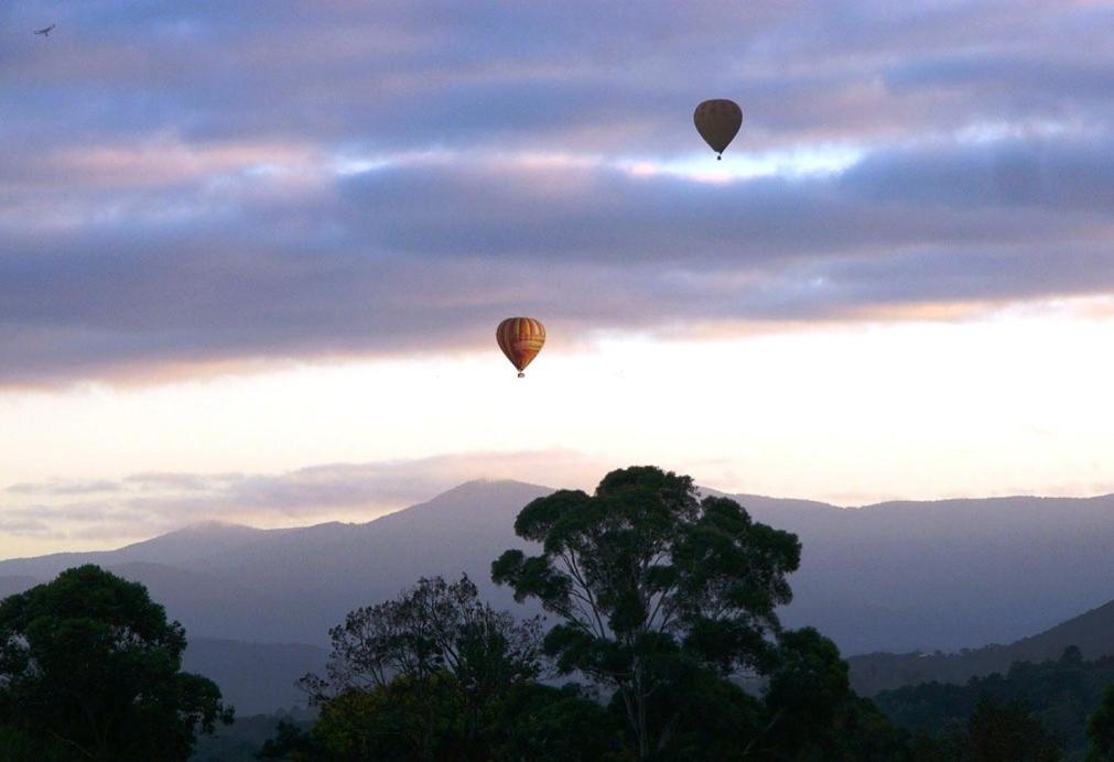Eagle's View Cottage - Yarra Valley
