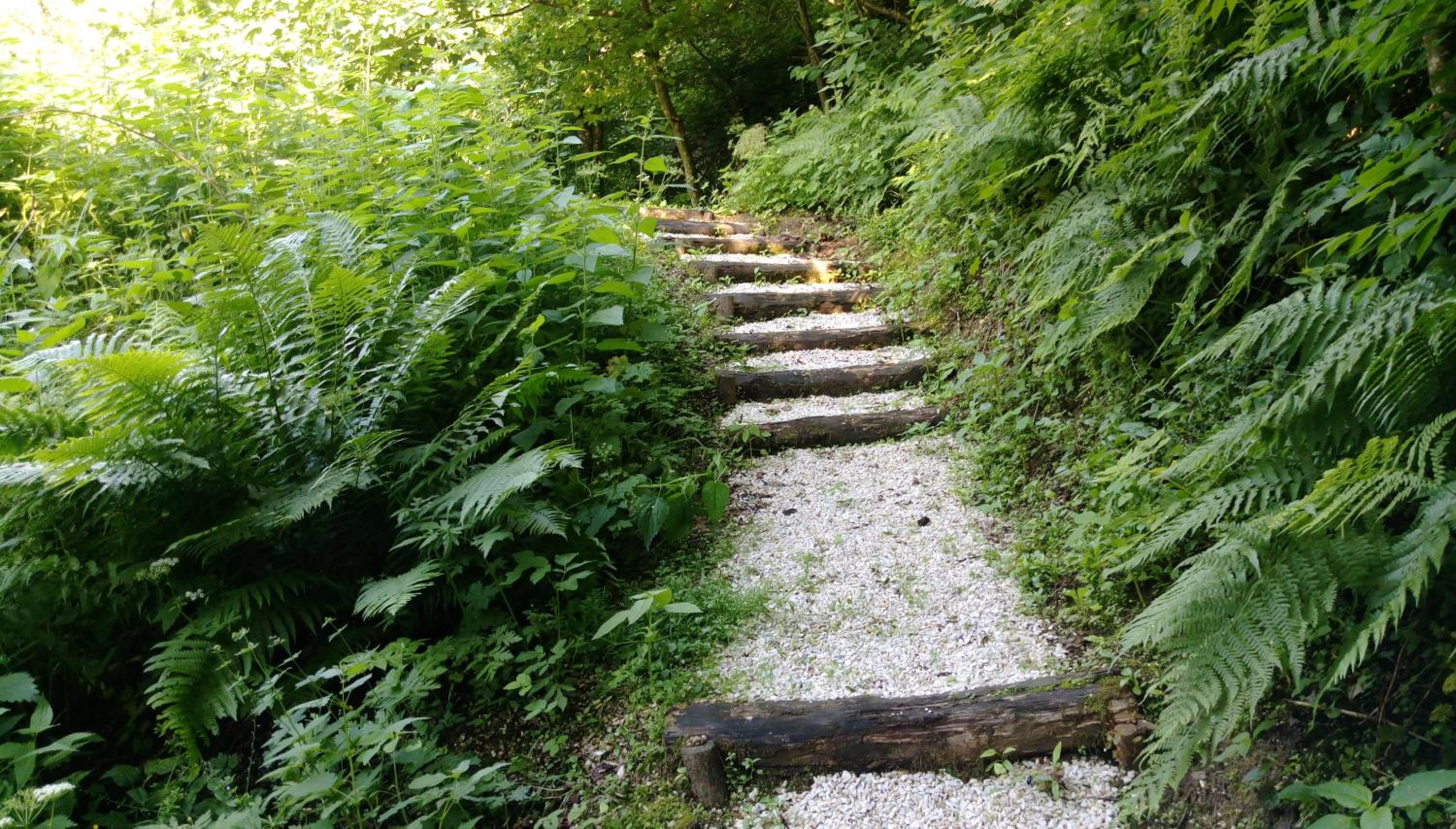 Rüggenhütte
