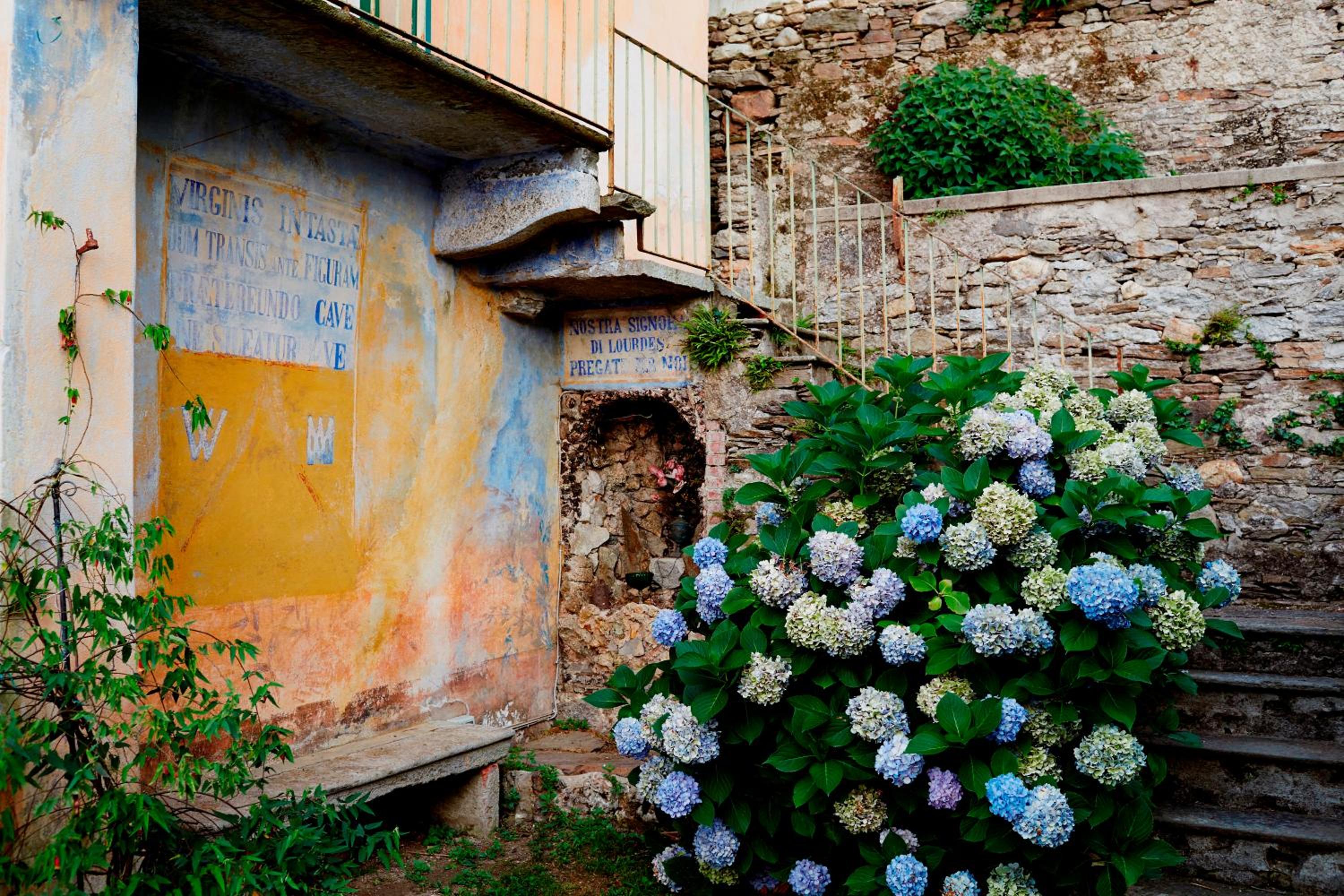 Villa La Canonica photo 4