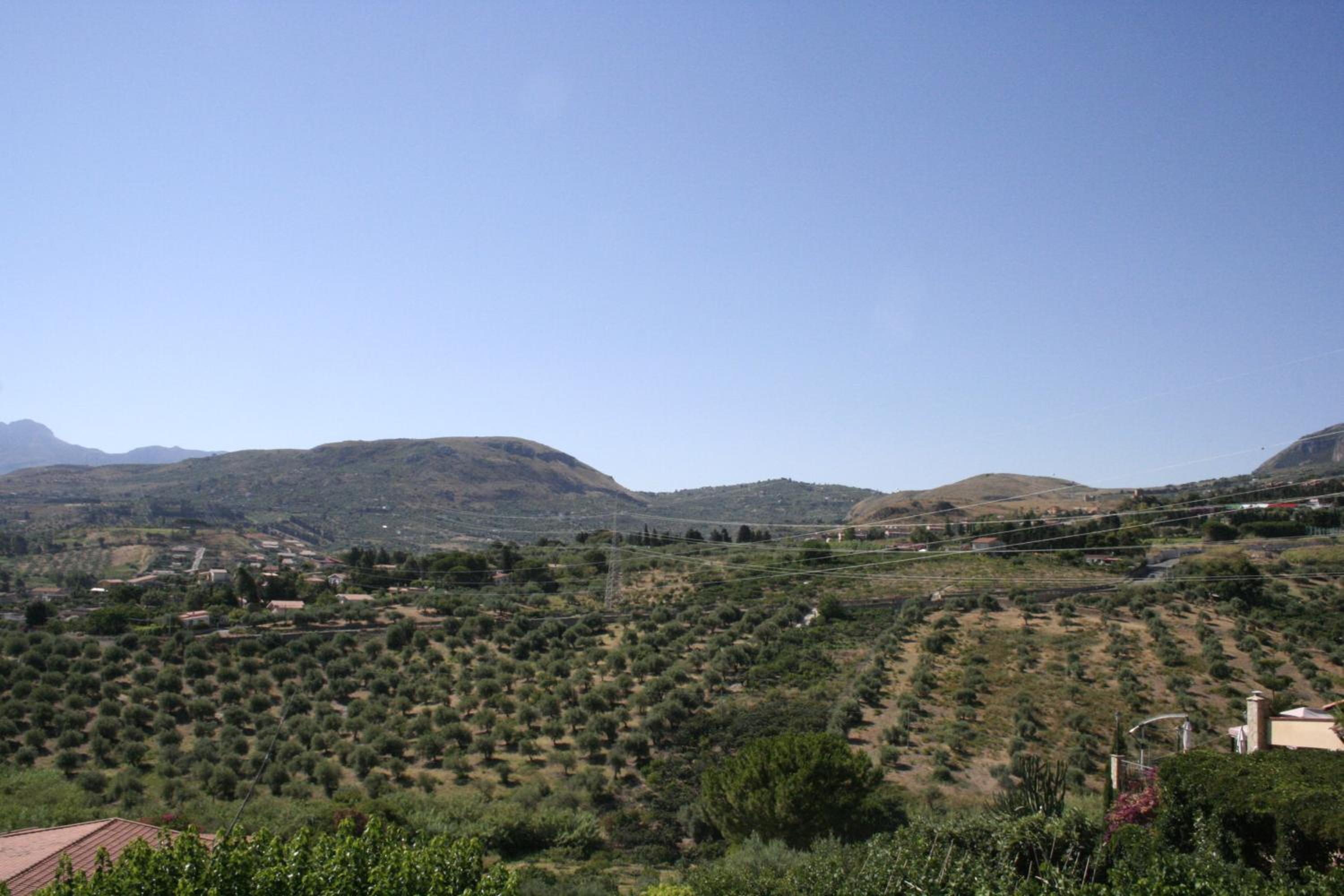 Photo 45