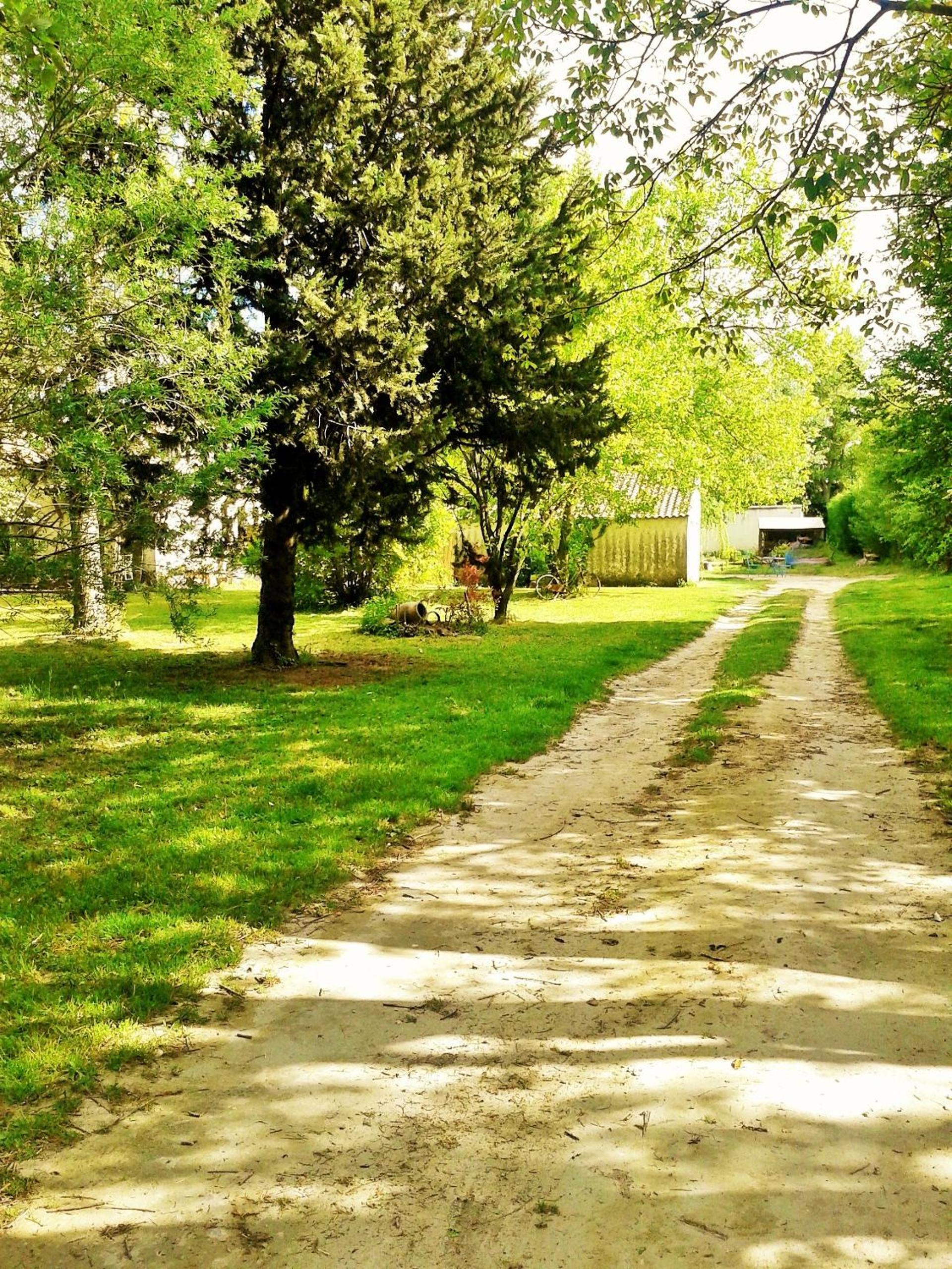 Photo 31