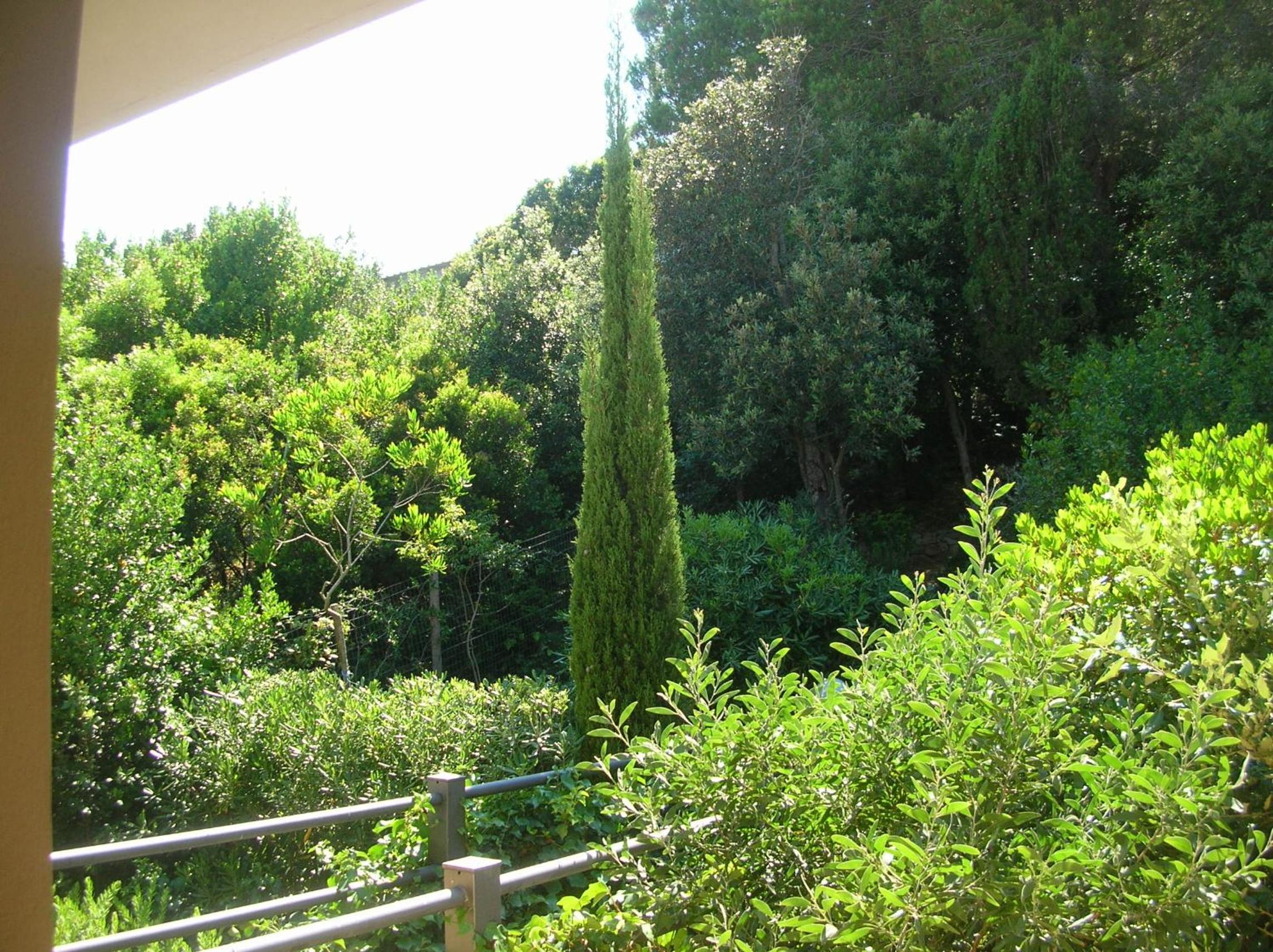 la scappatoia photo 3